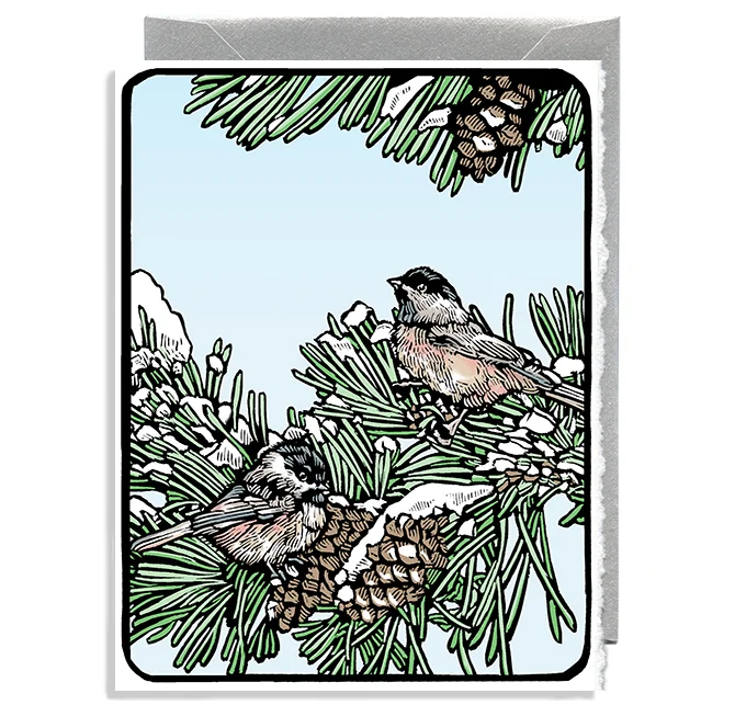 Chickadees on Pine Branch