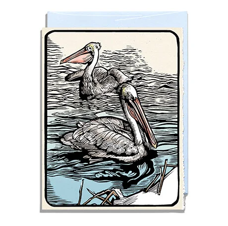 Brown Pelicans