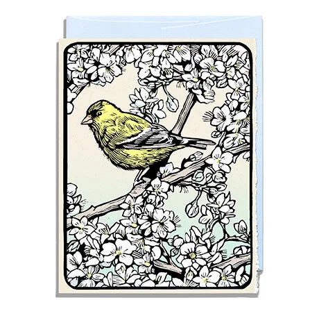 Goldfinch Web 2020.jpg