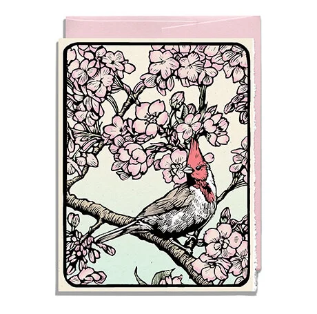 Crested Cardinal Pink for Web.jpg