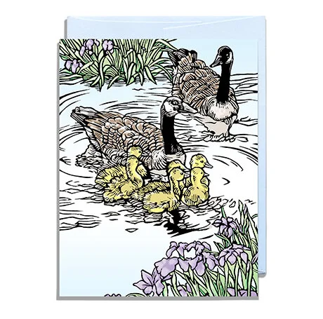 Canada Geese Blue Envelope