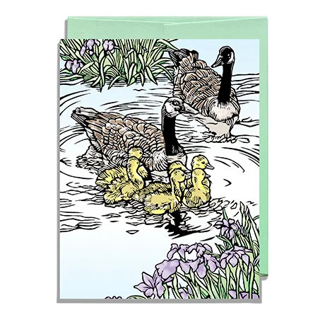 Canada Geese Green Envelope
