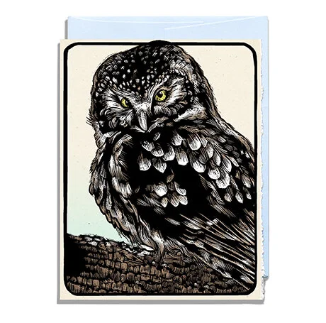 Owl Web w Green Blue.jpg
