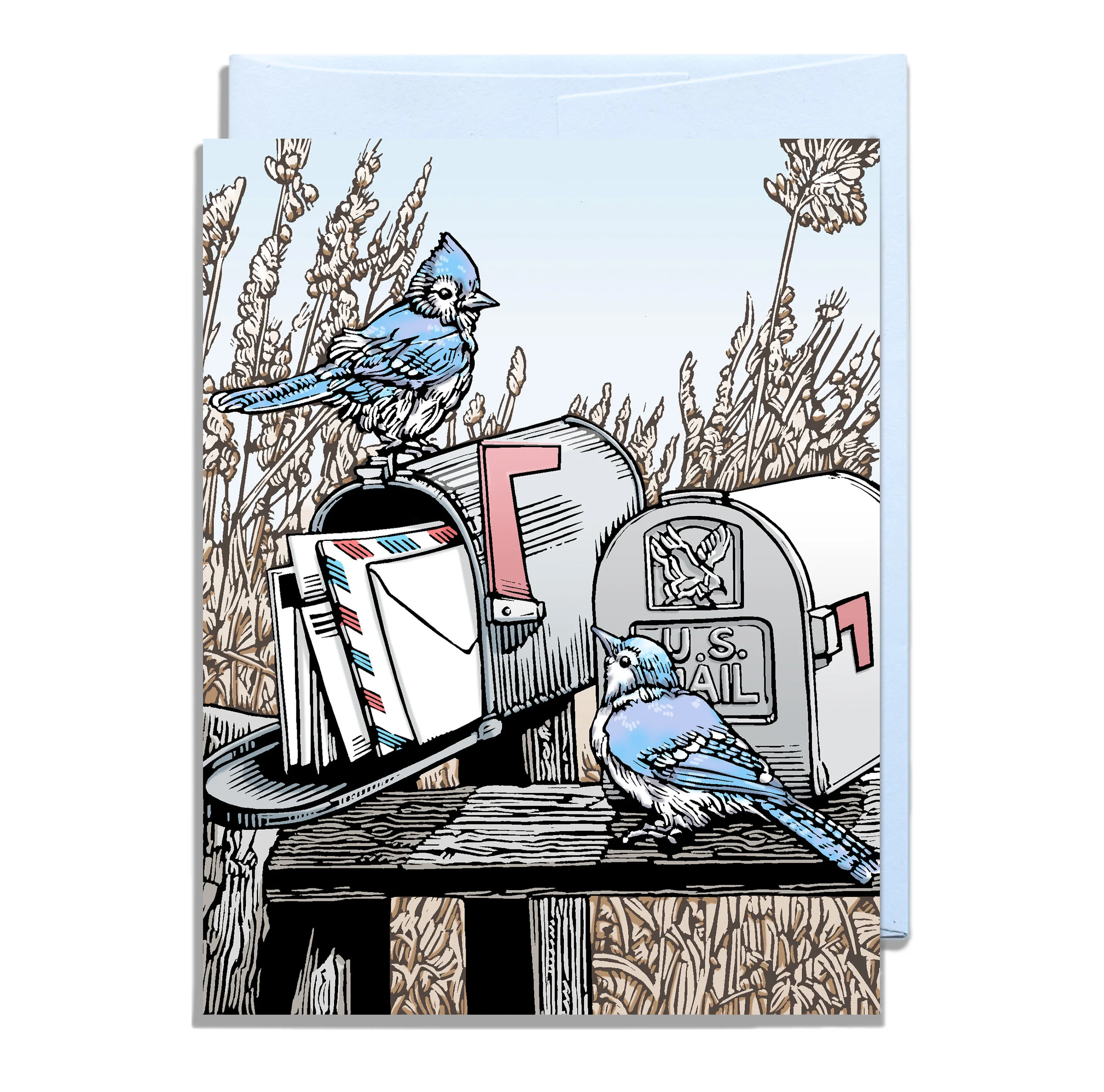 Blue Jays at a Mailbox 