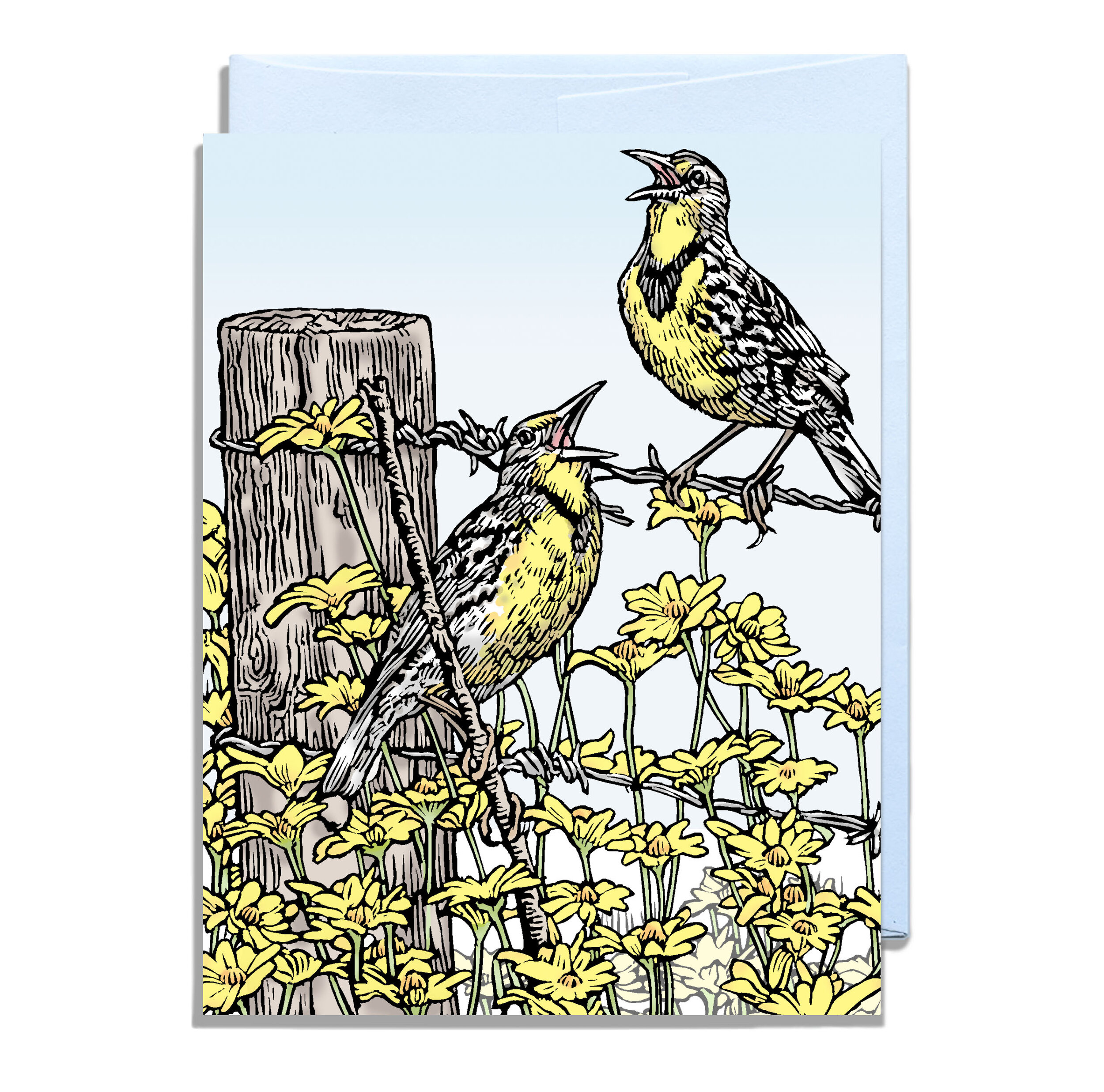Meadowlarks