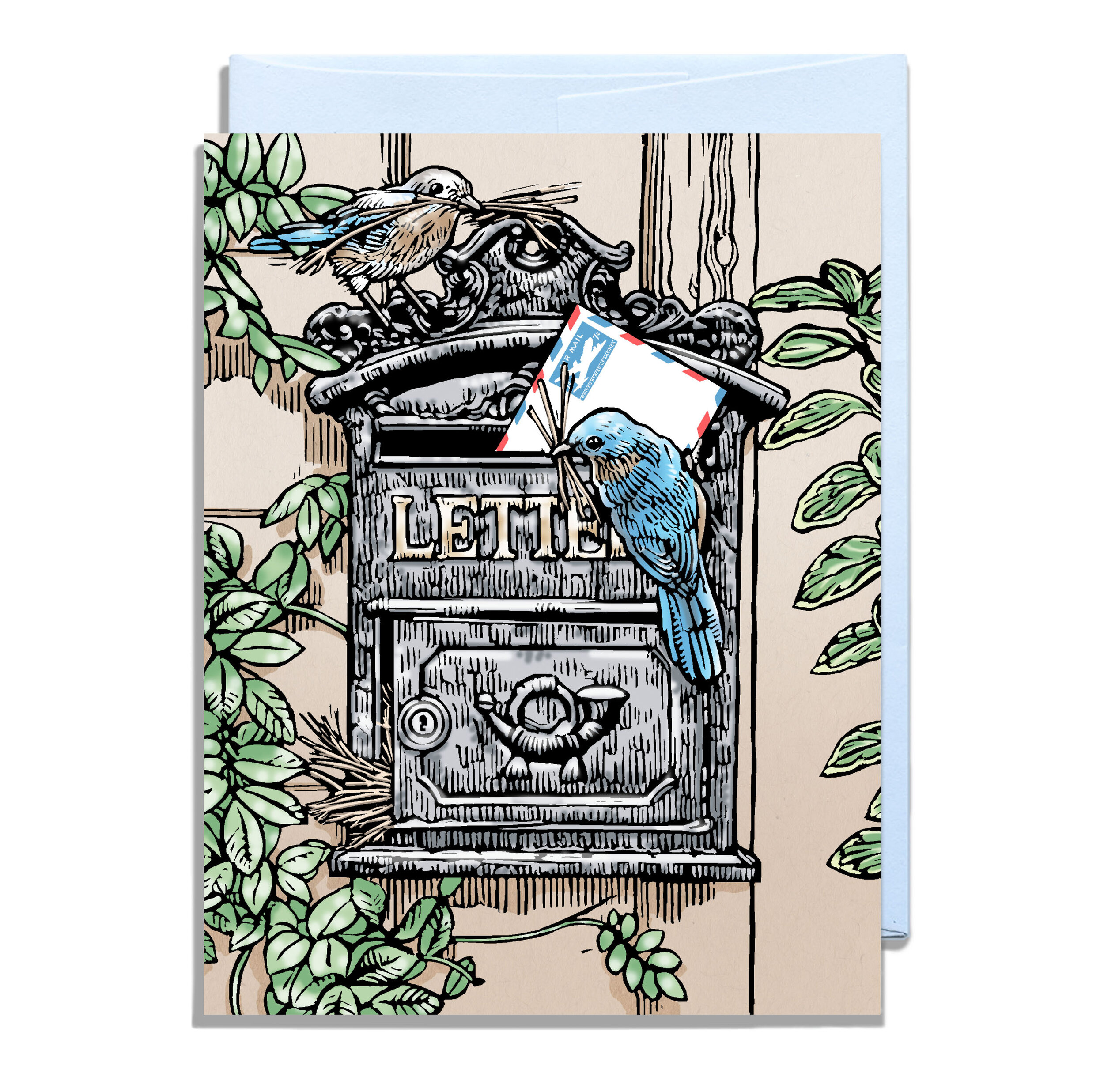 Eastern Blue Birds at the Mailbox