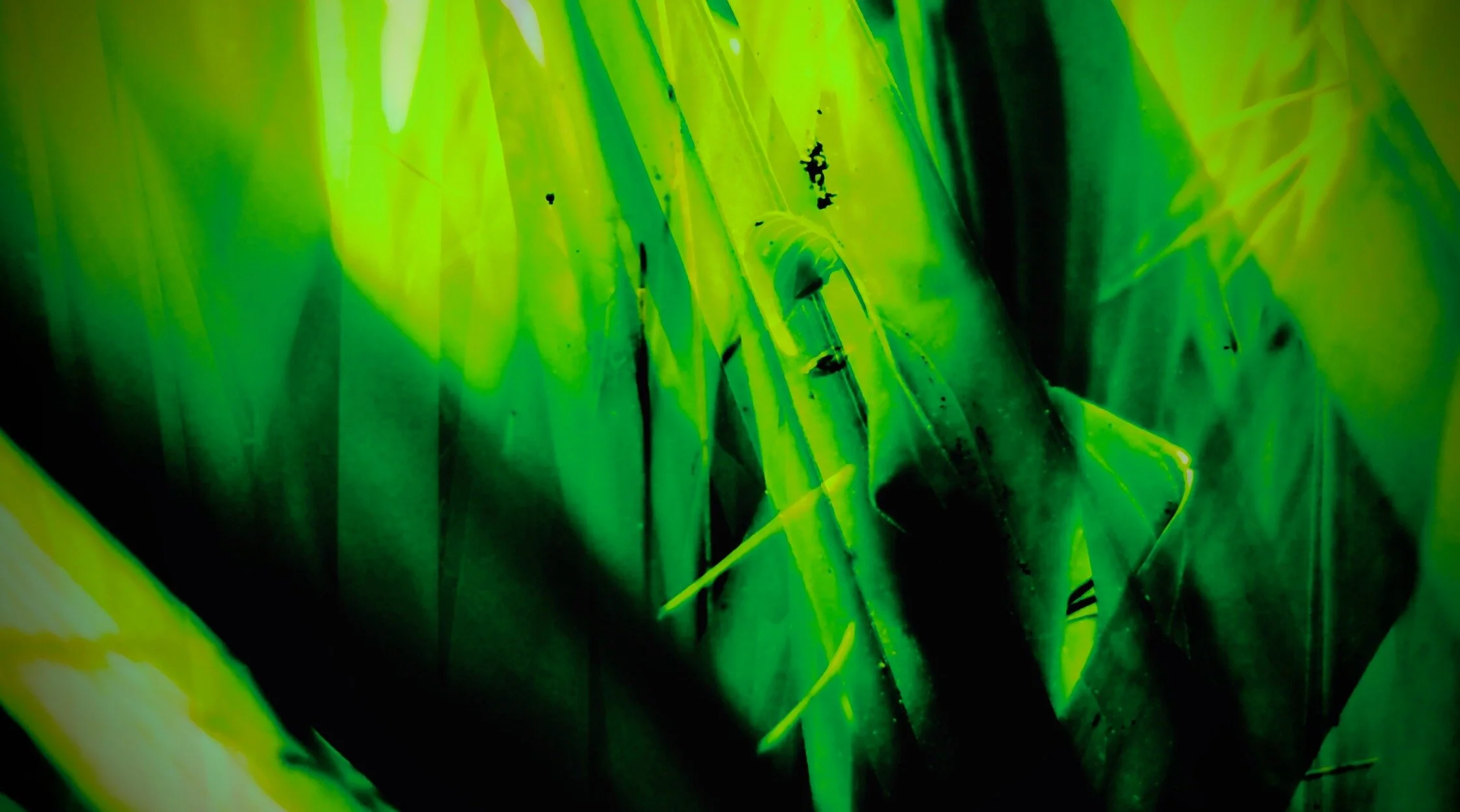 My Composing Process: Hosta (2021)