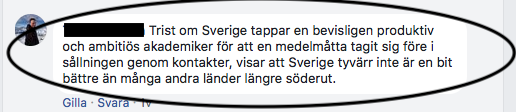 Medelmåtta.png