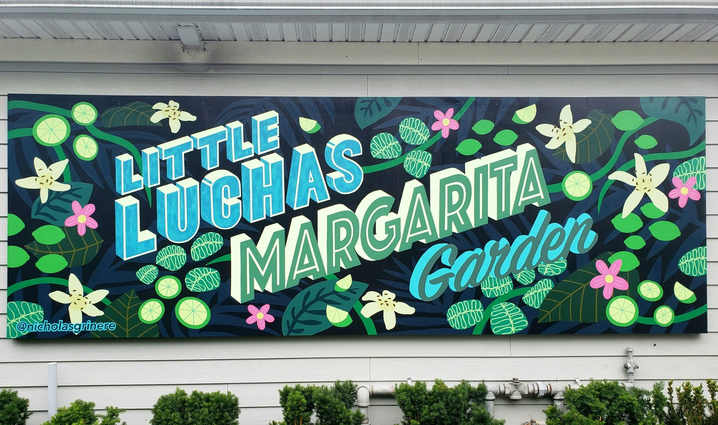 Little Luchas Margarita Garden