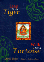 Leap Like a Tiger, Walk Like a Tortoise (paperback)