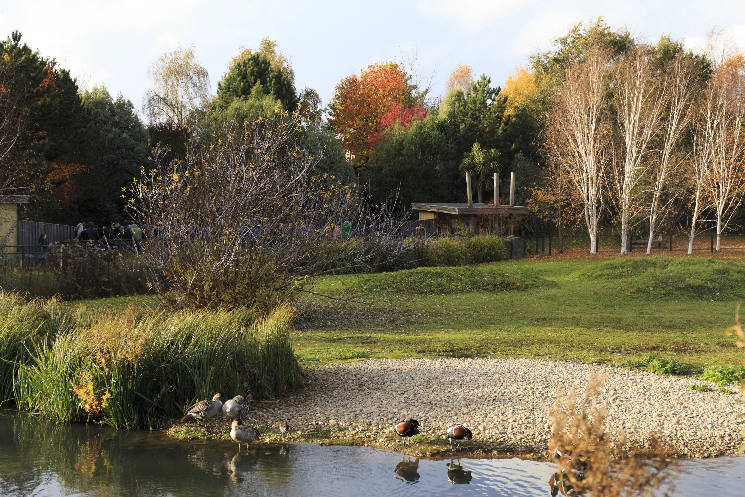 Eight Verses - the Wetlands 9.jpg