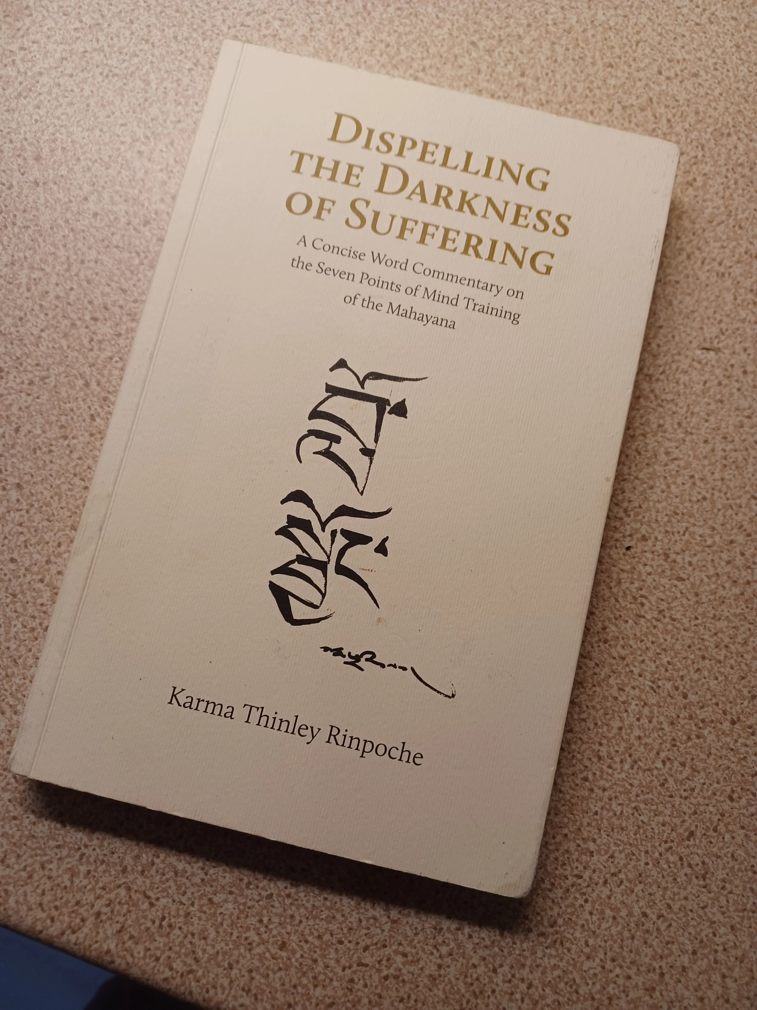 Lama Jampa_Feb 2026_Yorkshire 1.jpg