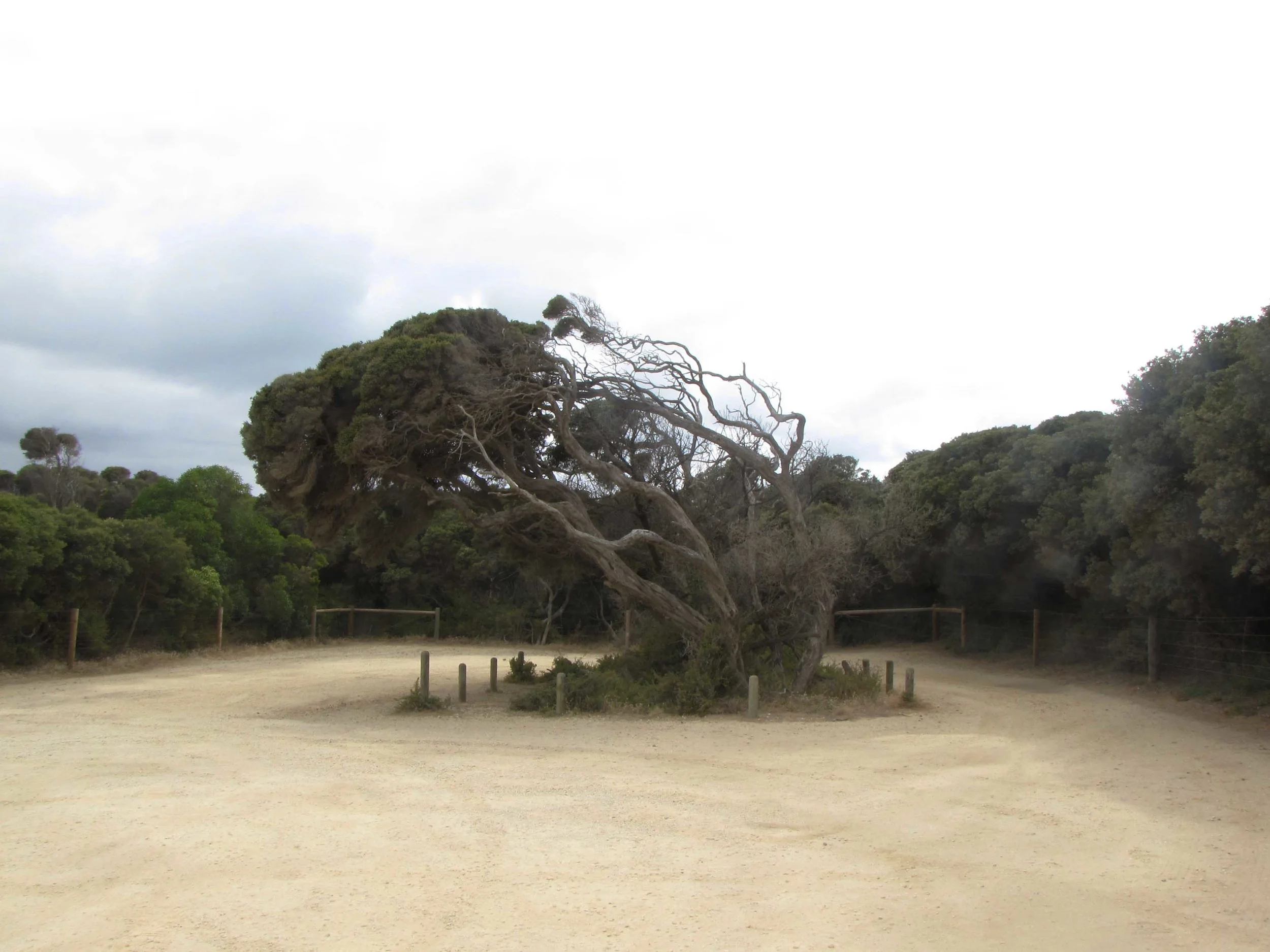 Australia 2013