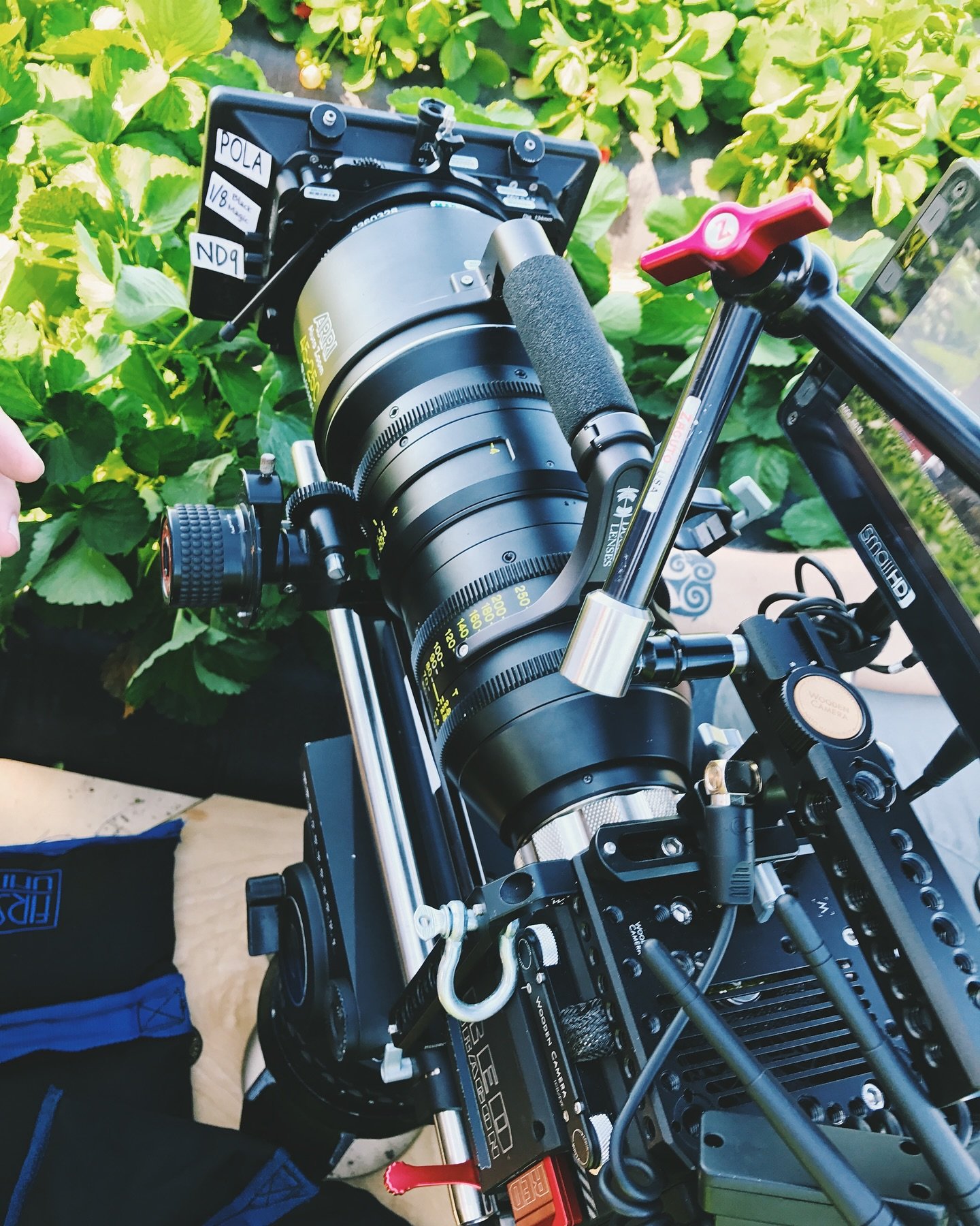 🎥DIRECTOR&rsquo;S WORK: Strawberry hunting near Tampa with the Maestro @elferdp AMC 🪄

#director #advertising #commercial #location #production #tb