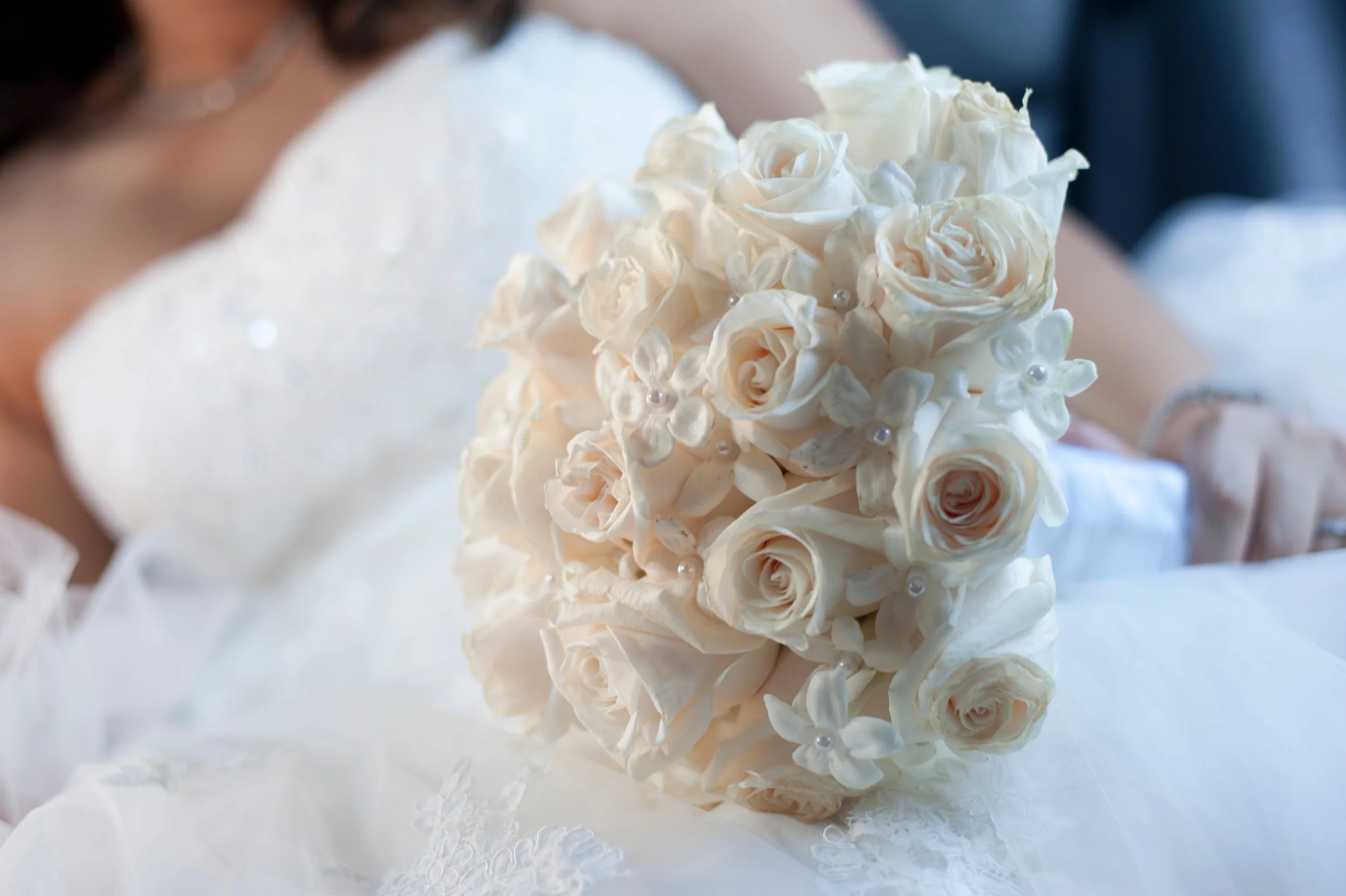 0392b-2964377182-O.jpg