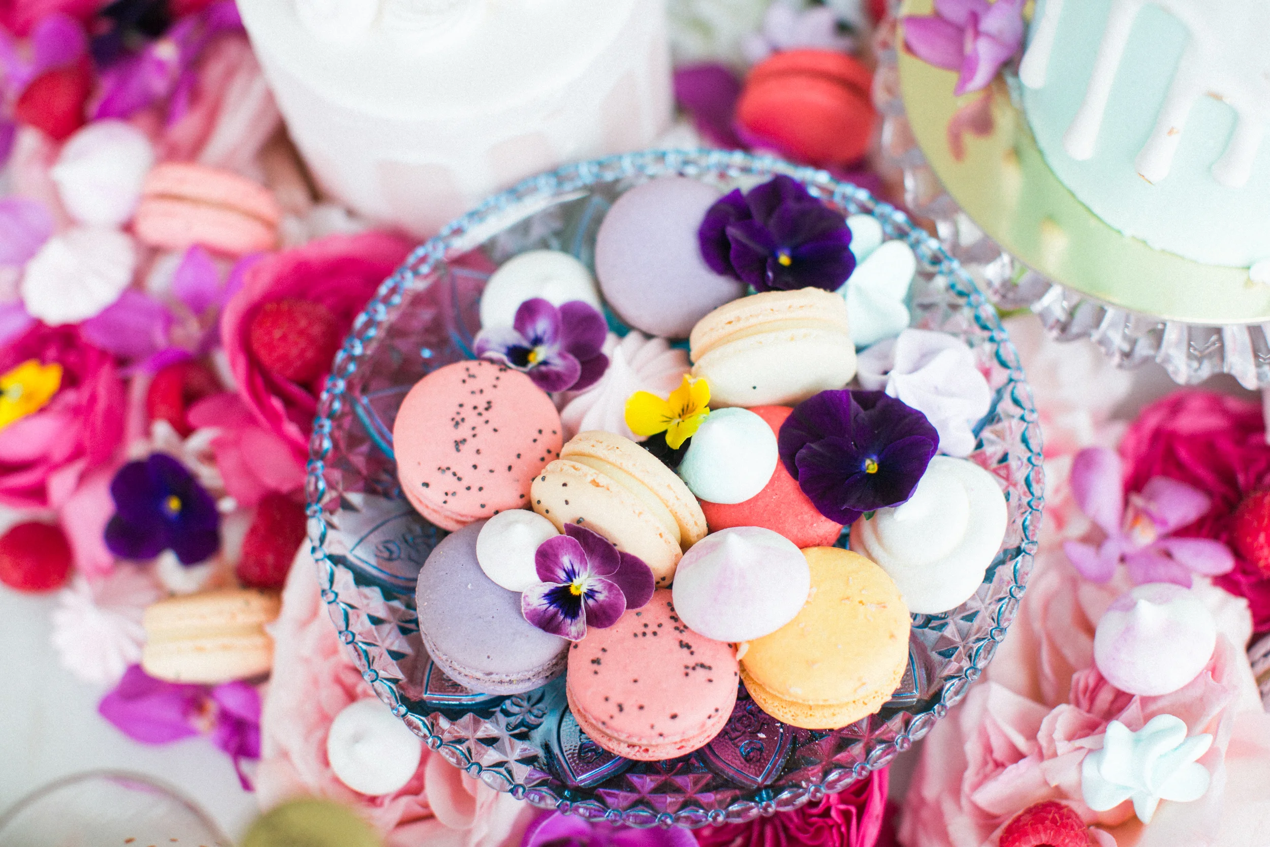 ColourfulSpring_DeniseLinPhotography-28.jpg