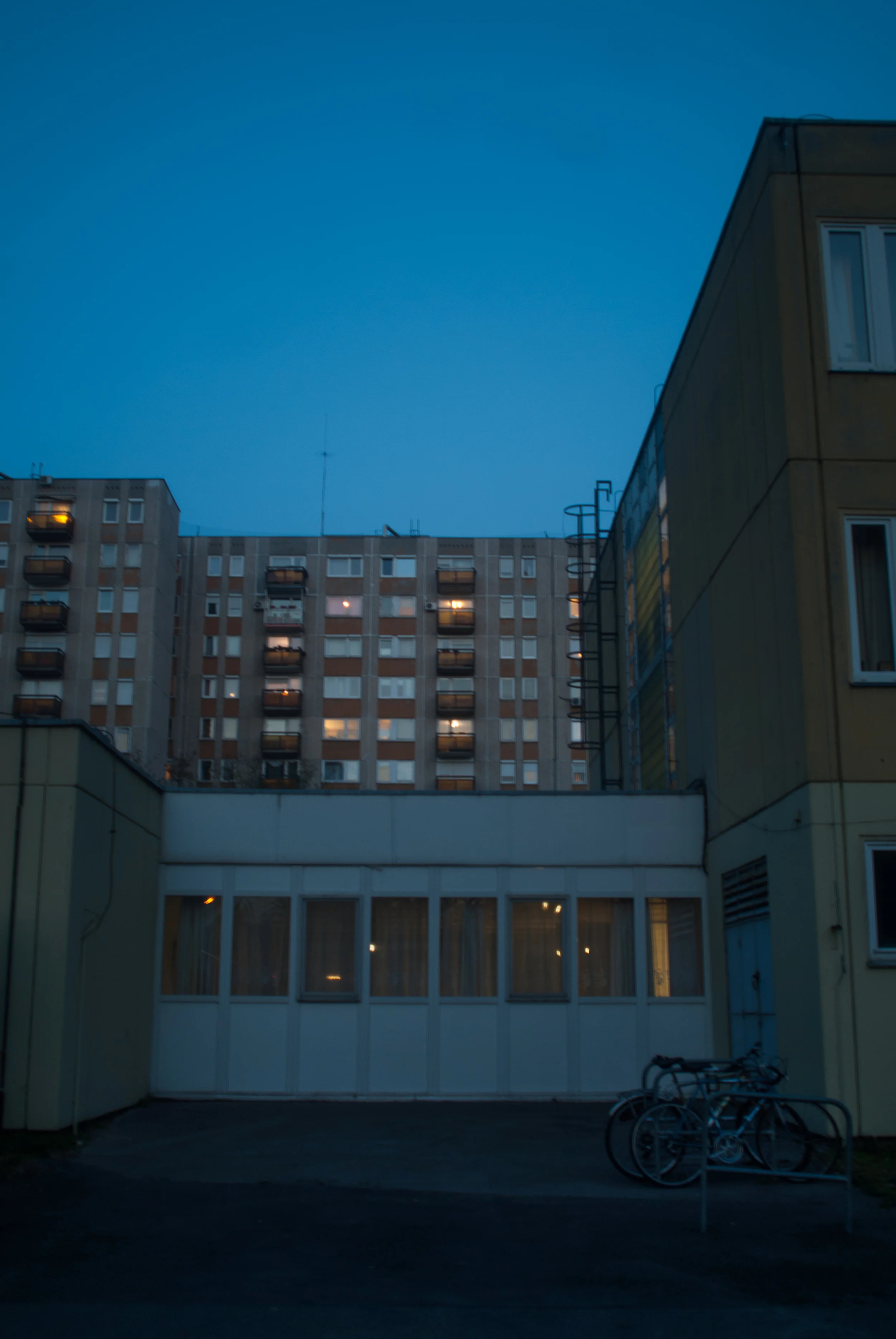 20150407-DSC_0142.jpg