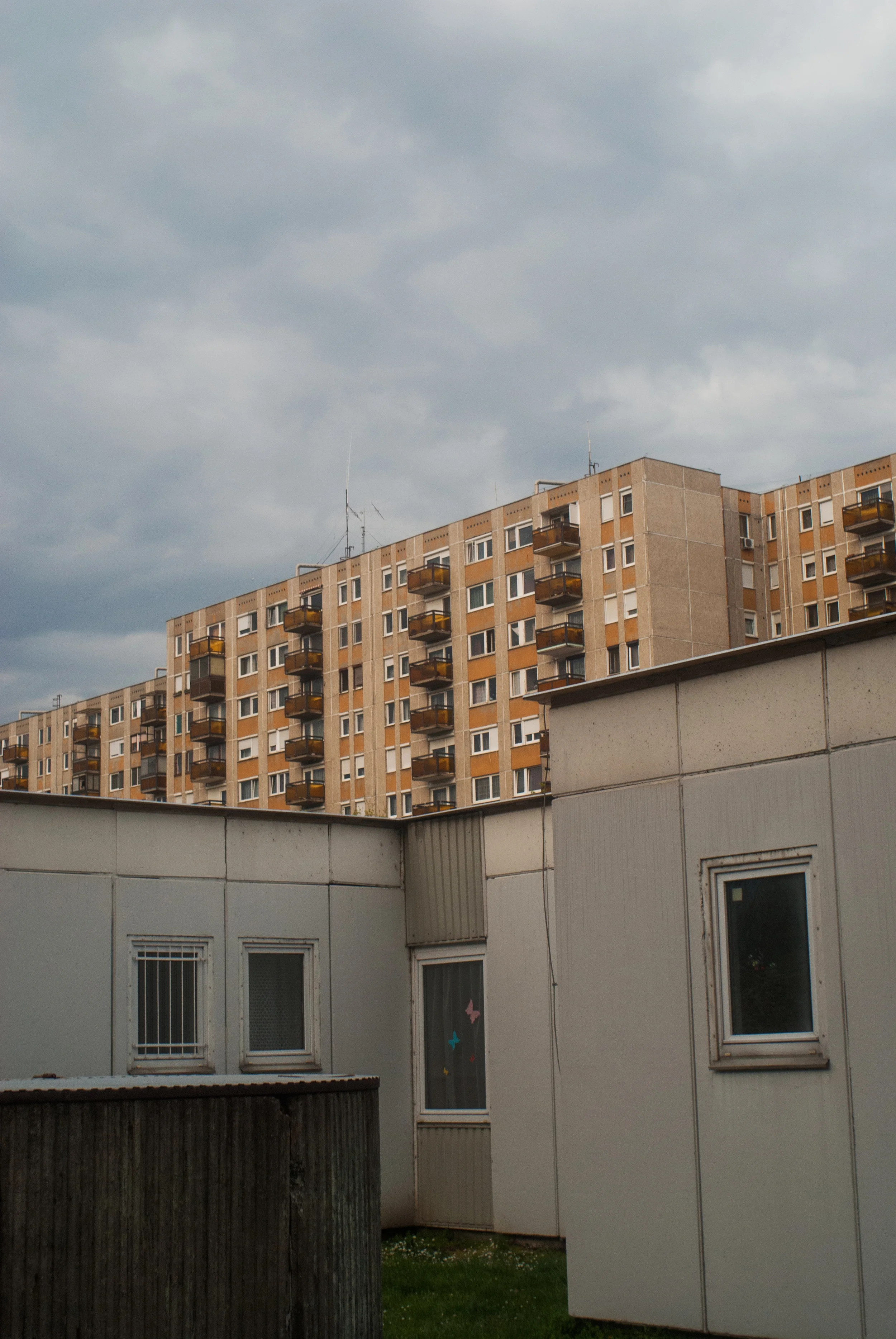 20150413-DSC_0116.jpg