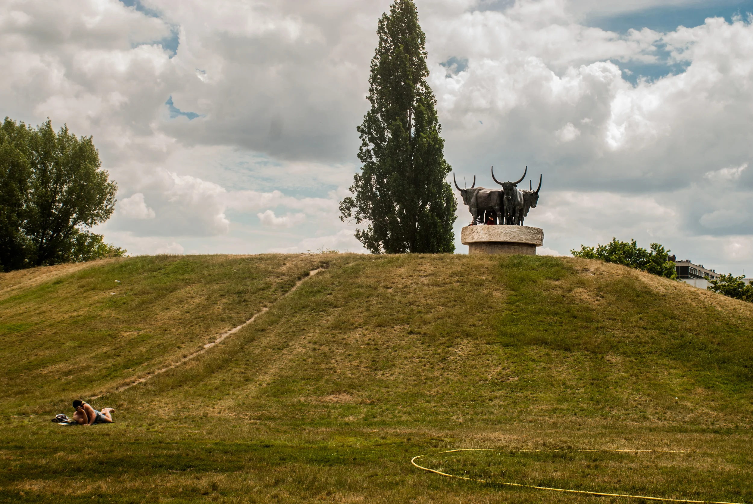 20140621-DSC_0030.jpg