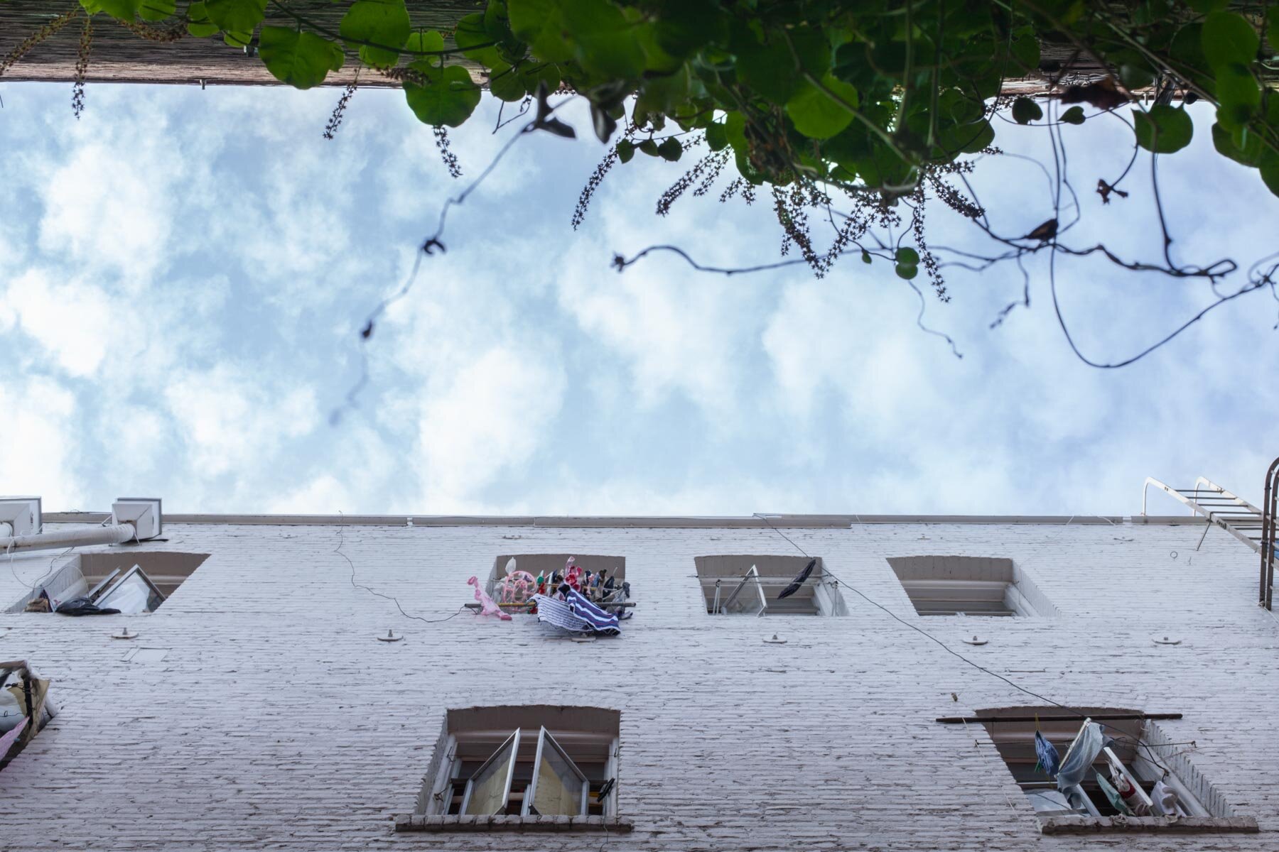   Don’t Look Up , Chinatown, San Francisco 