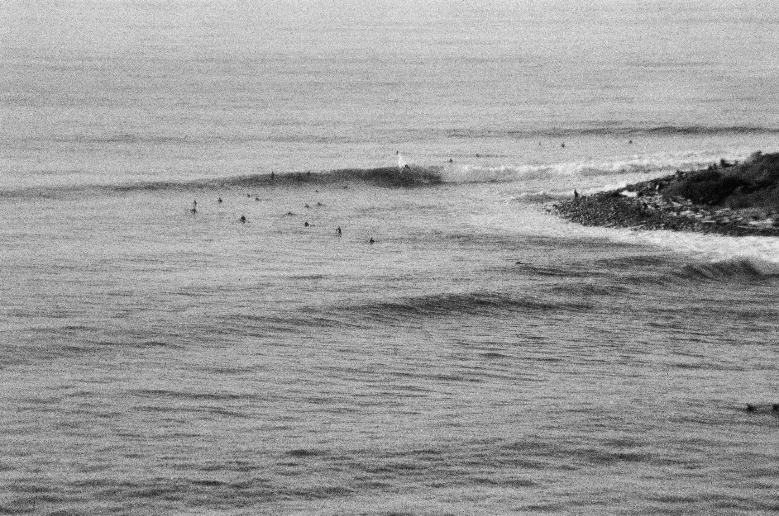   My Morning  Acquaintance,  El Capitán State Beach 