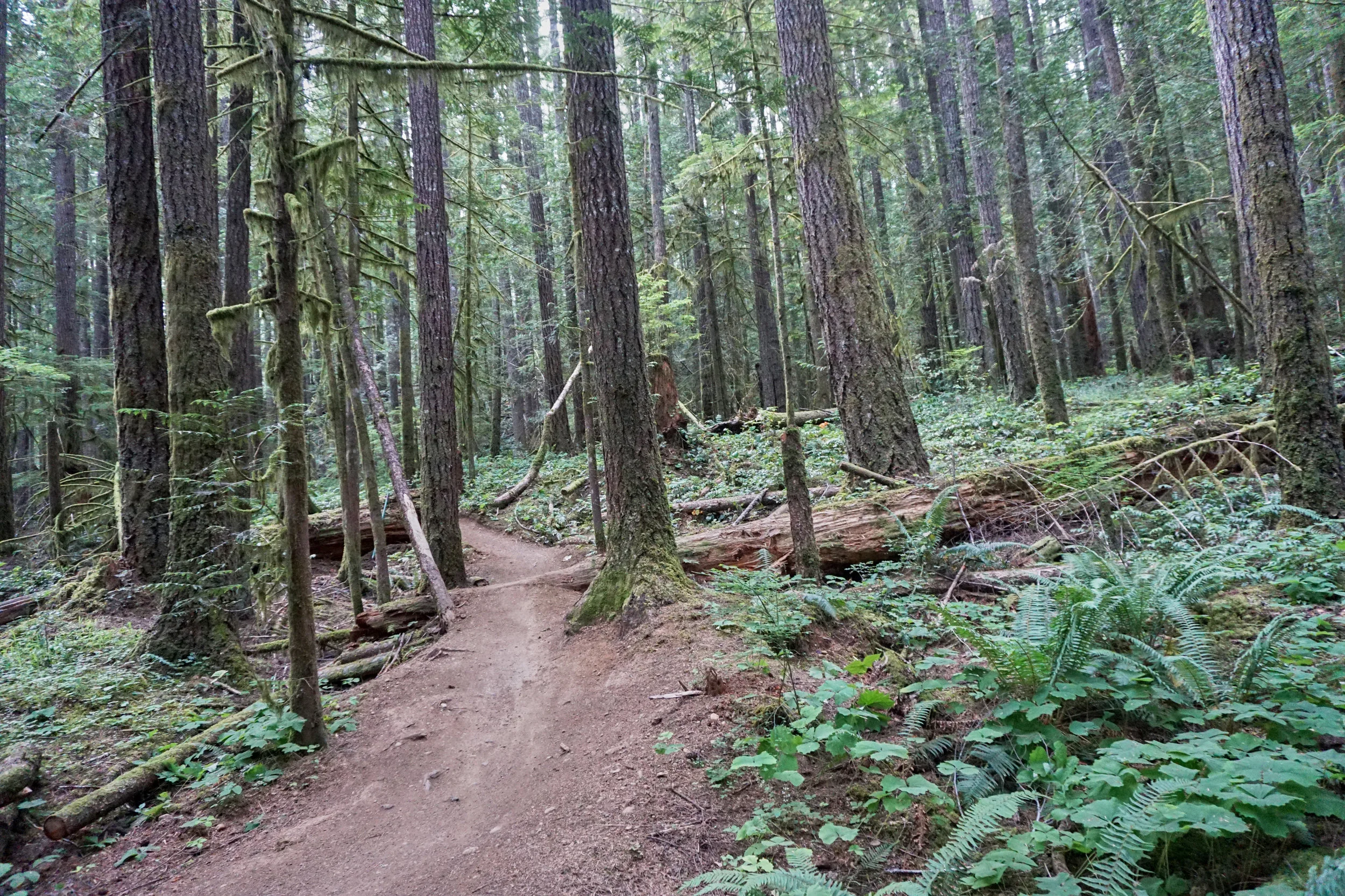 Doesn't that make you want to go ride? 