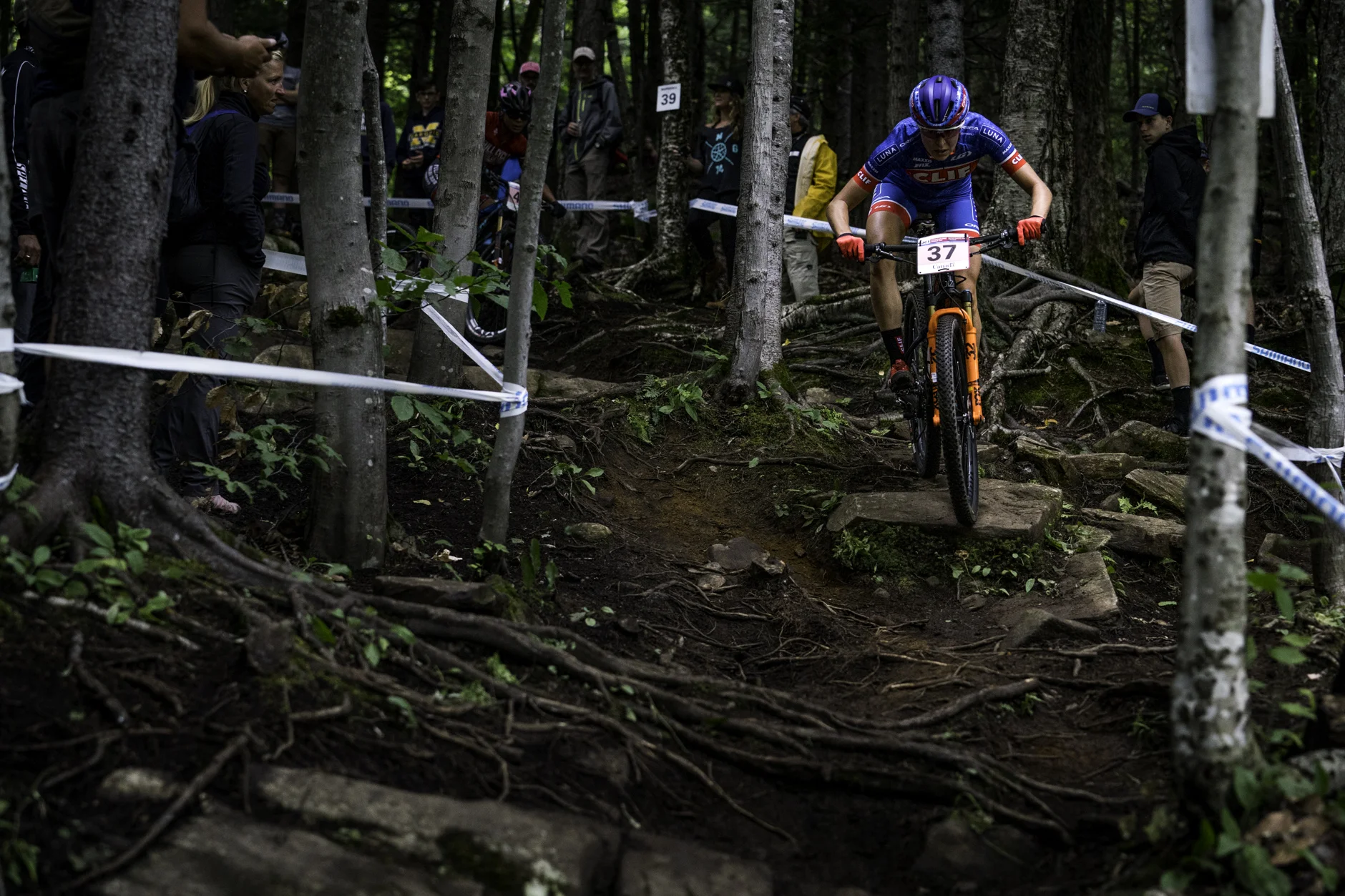 Photo by Matt Delorme. Look at those roots! The trails in MSA are rad.