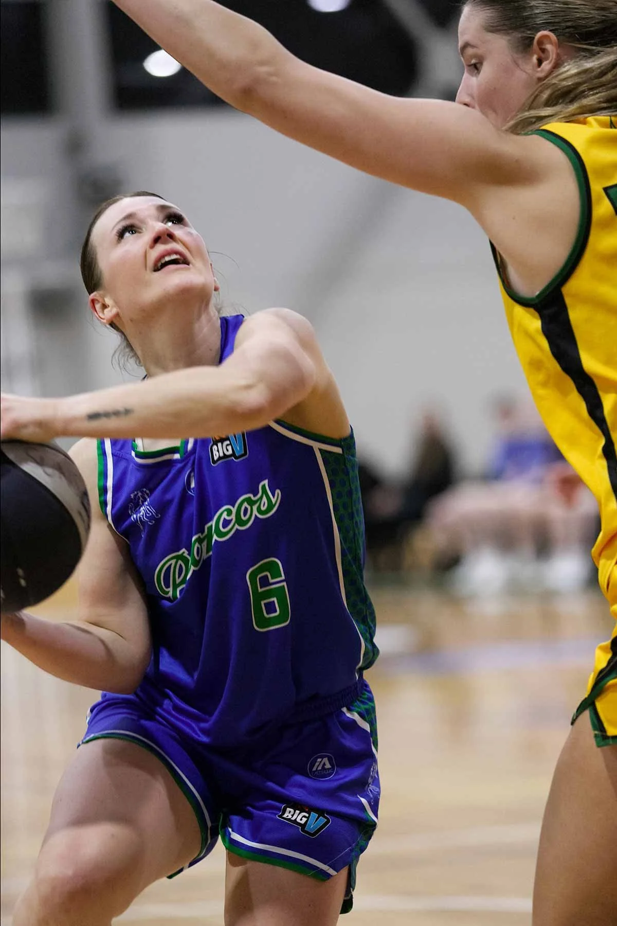 R02_CW Sherbrooke_V_Hume 6DSP_9752.jpg