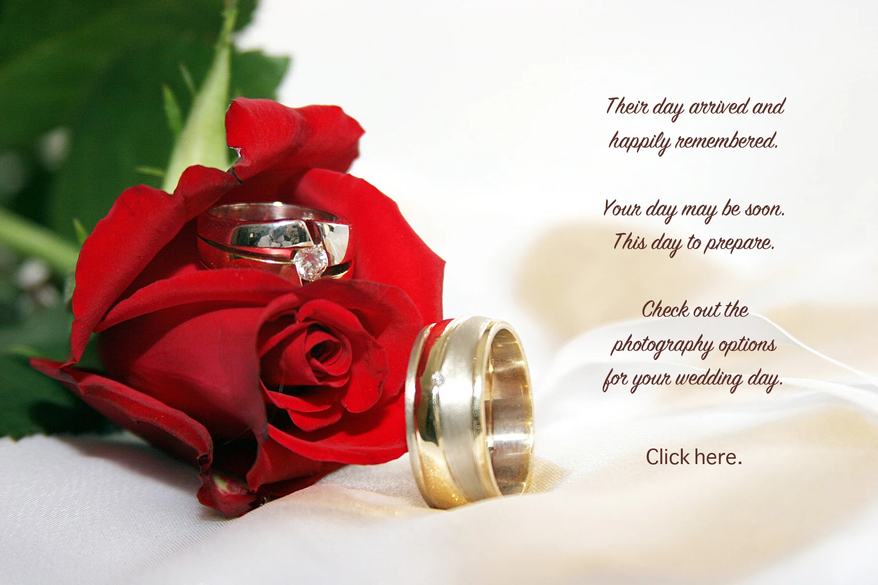 Wedding_Rose and Rings_03.jpg