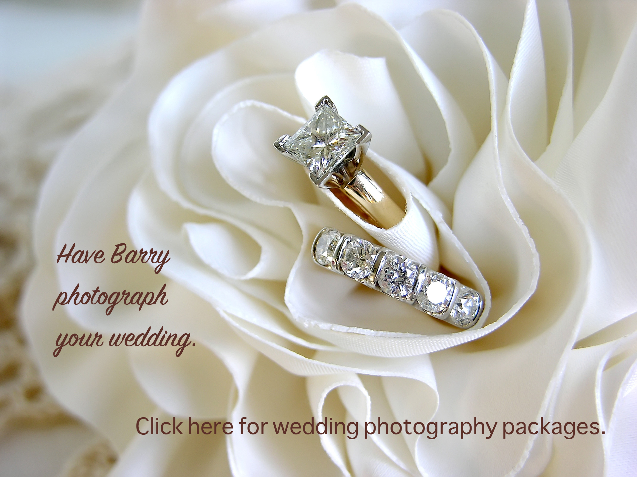 Wedding_Rings White Flower_01.jpg