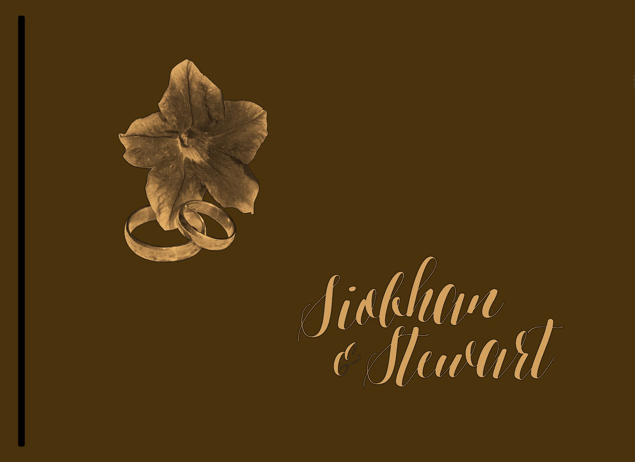 00 Stewart_01A_Outline.jpg