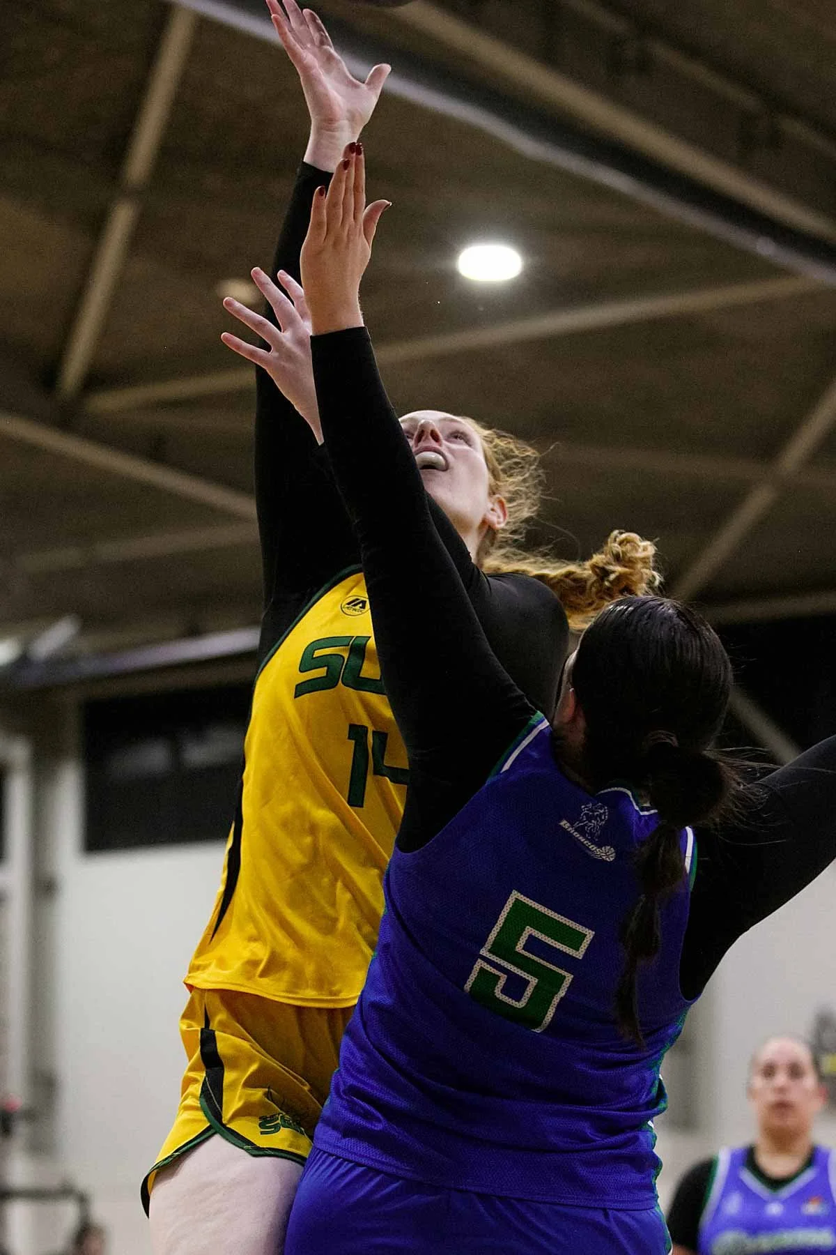 R02_CW Sherbrooke_V_Hume 6DSP_10098.jpg