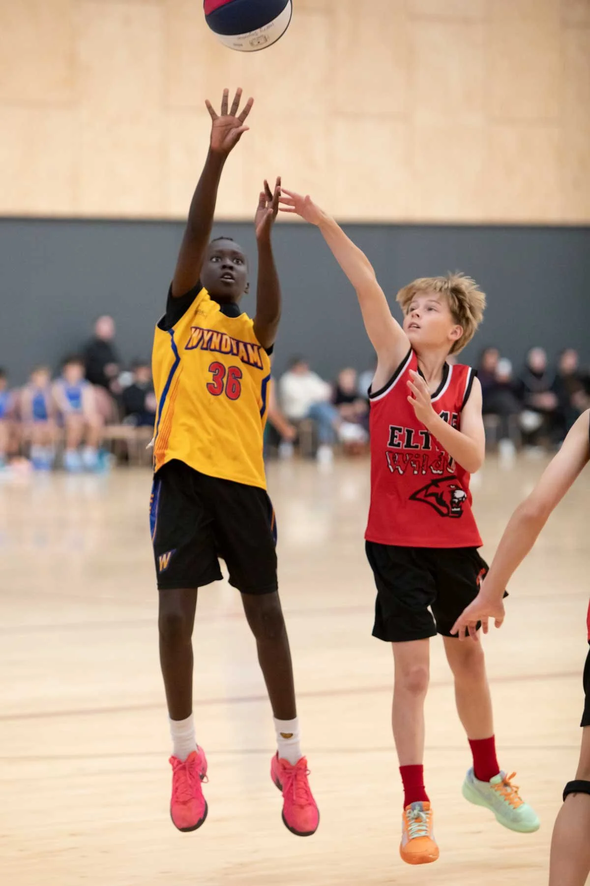 2026_WAS MS4_2494_01.jpg