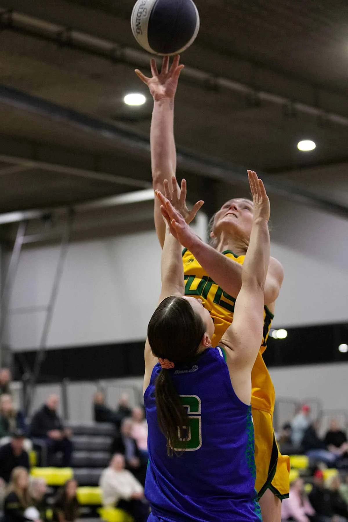 R02_CW Sherbrooke_V_Hume 6DSP_9050.jpg