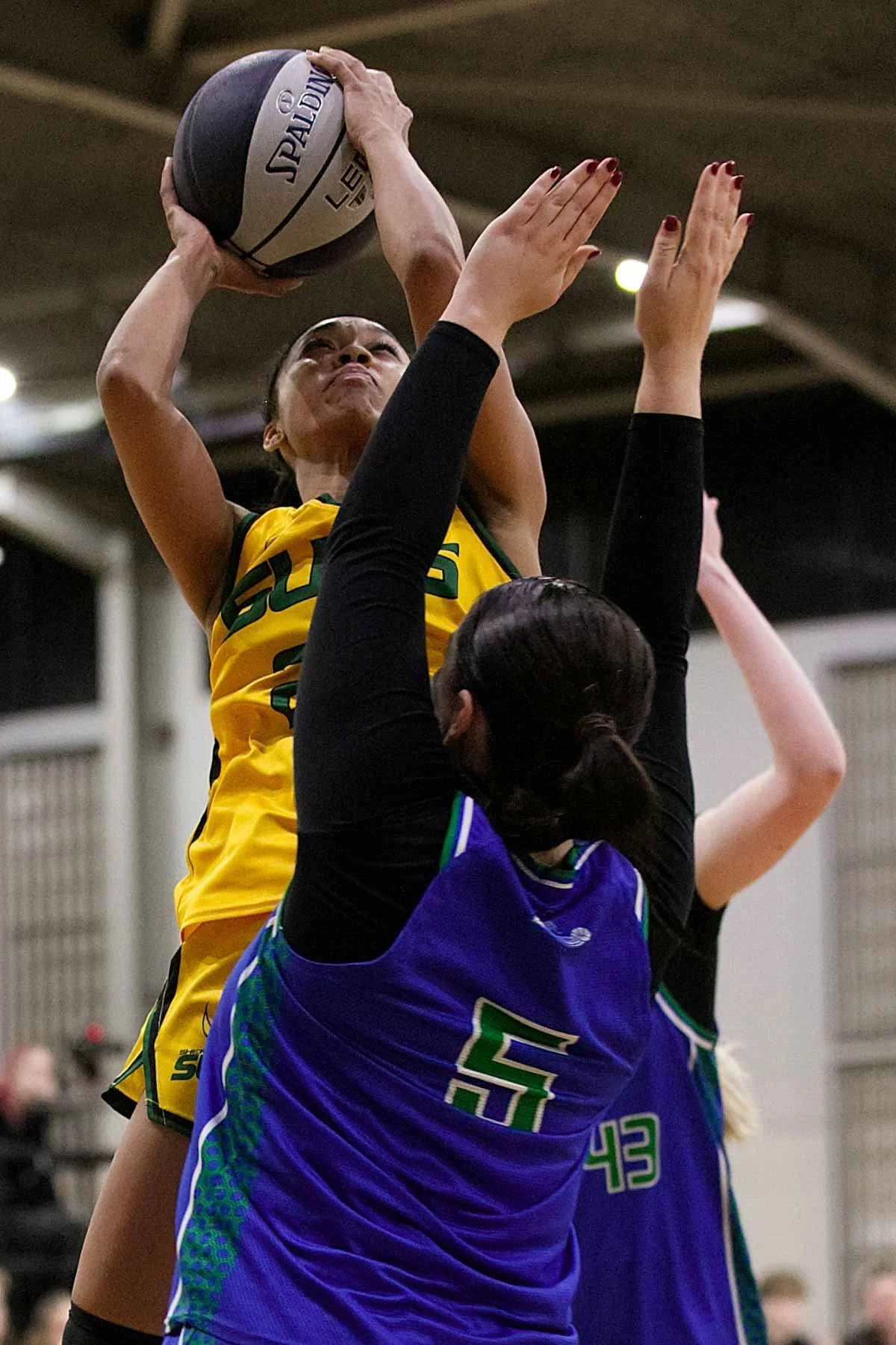 R02_CW Sherbrooke_V_Hume 6DSP_9944.jpg