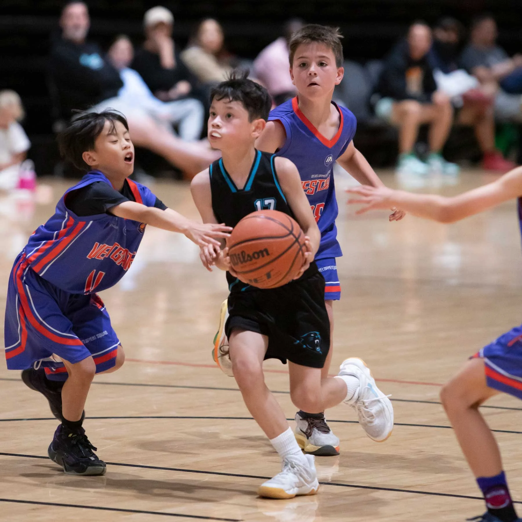 2026_WAS MS4_8558_01.jpg