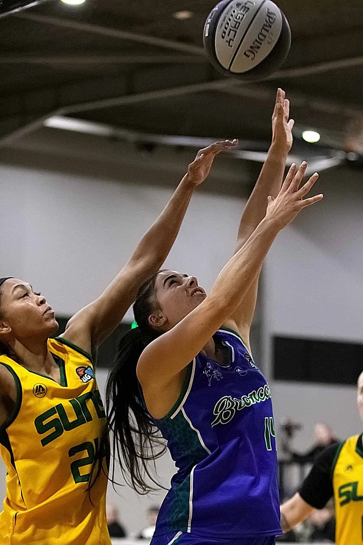 R02_CW Sherbrooke_V_Hume 6DSP_9772.jpg