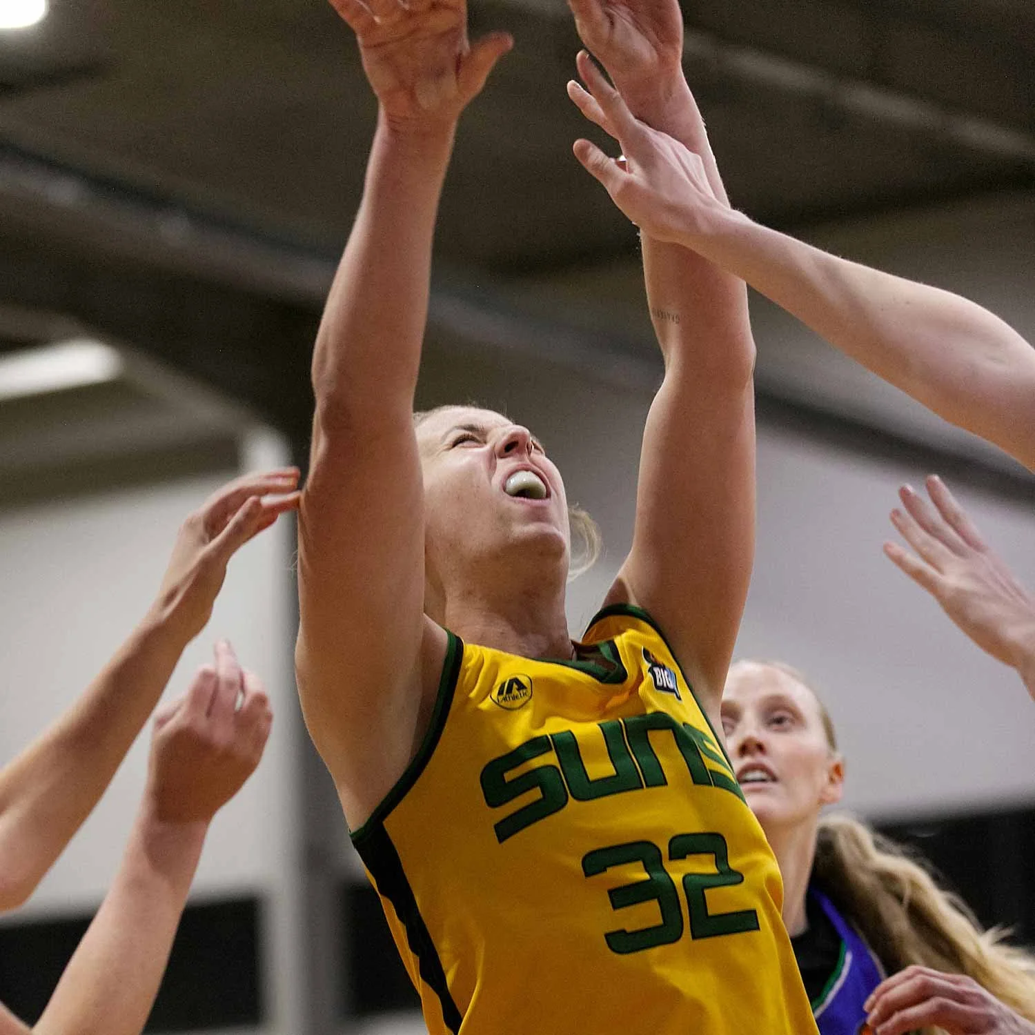 R02_CW Sherbrooke_V_Hume 6DSP_9023.jpg