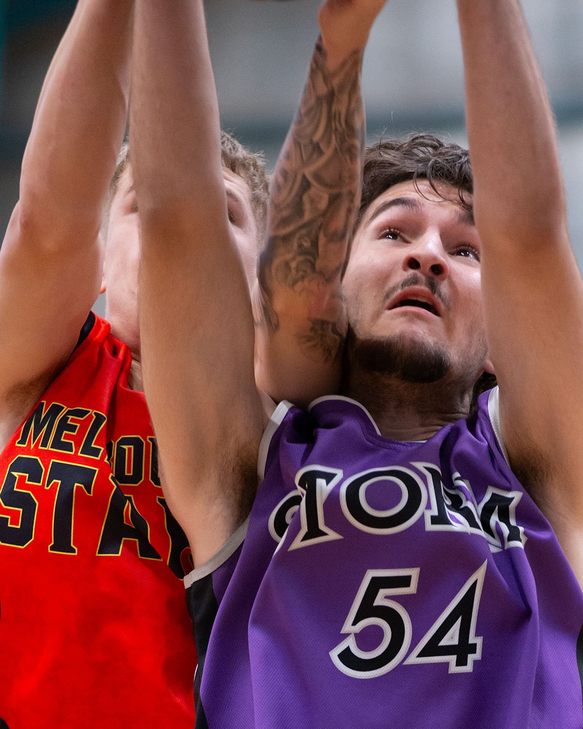 Whittlesea Domestic Gfs 260328 3BBV7078_01.jpg