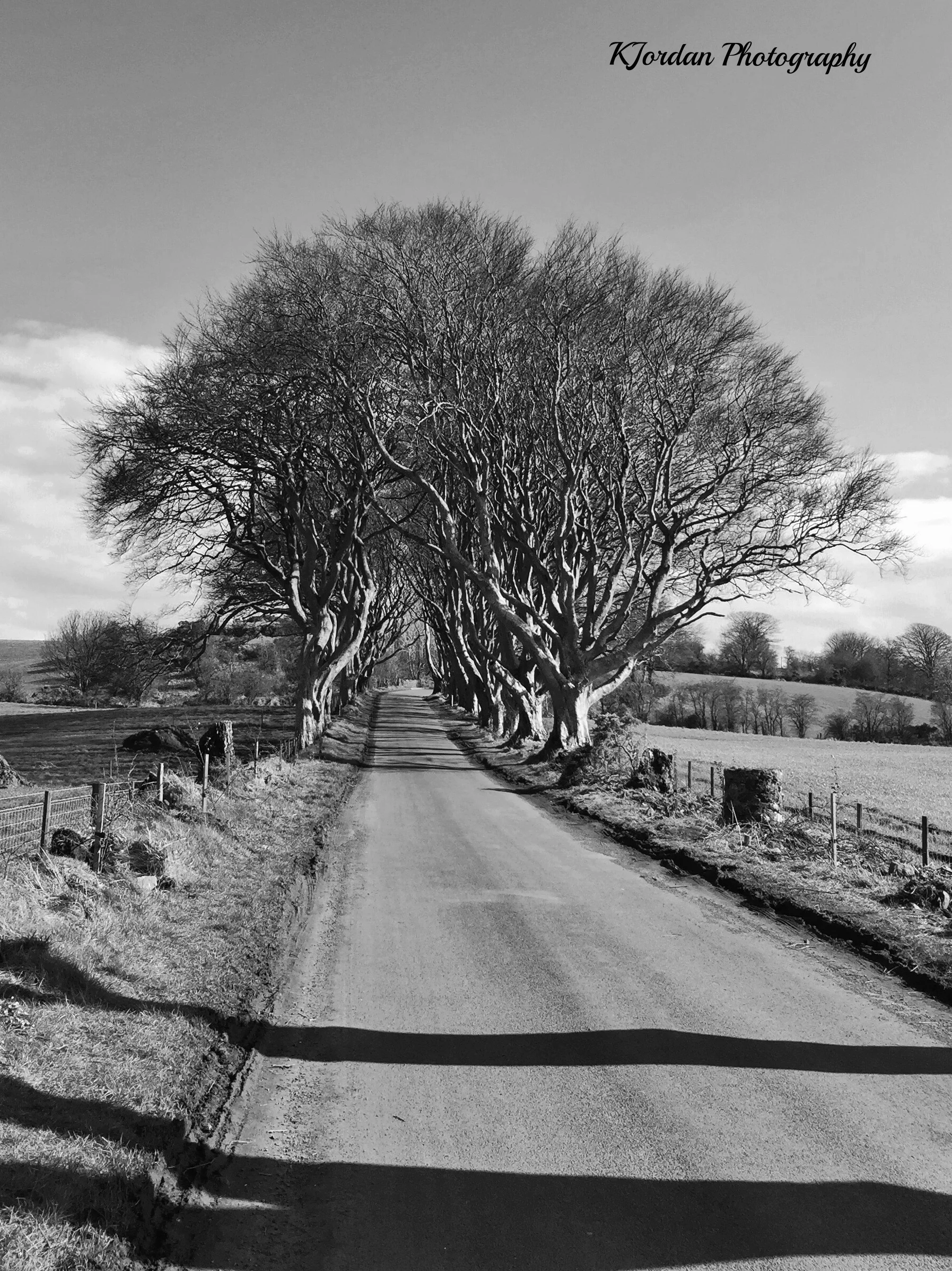 Dark Hedges, Balleymoney, N. Ireland