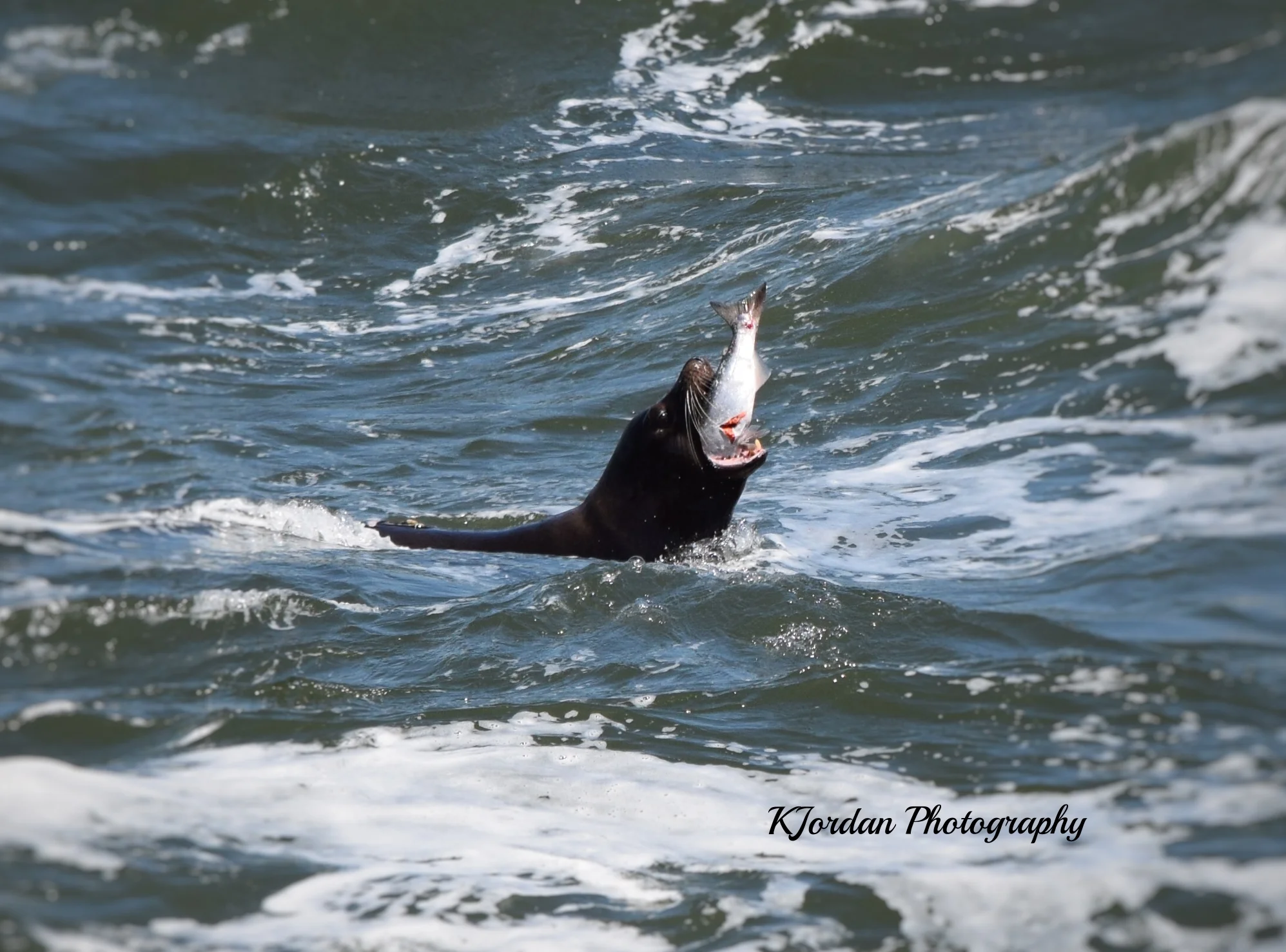 Bonneville Dam, Oregon