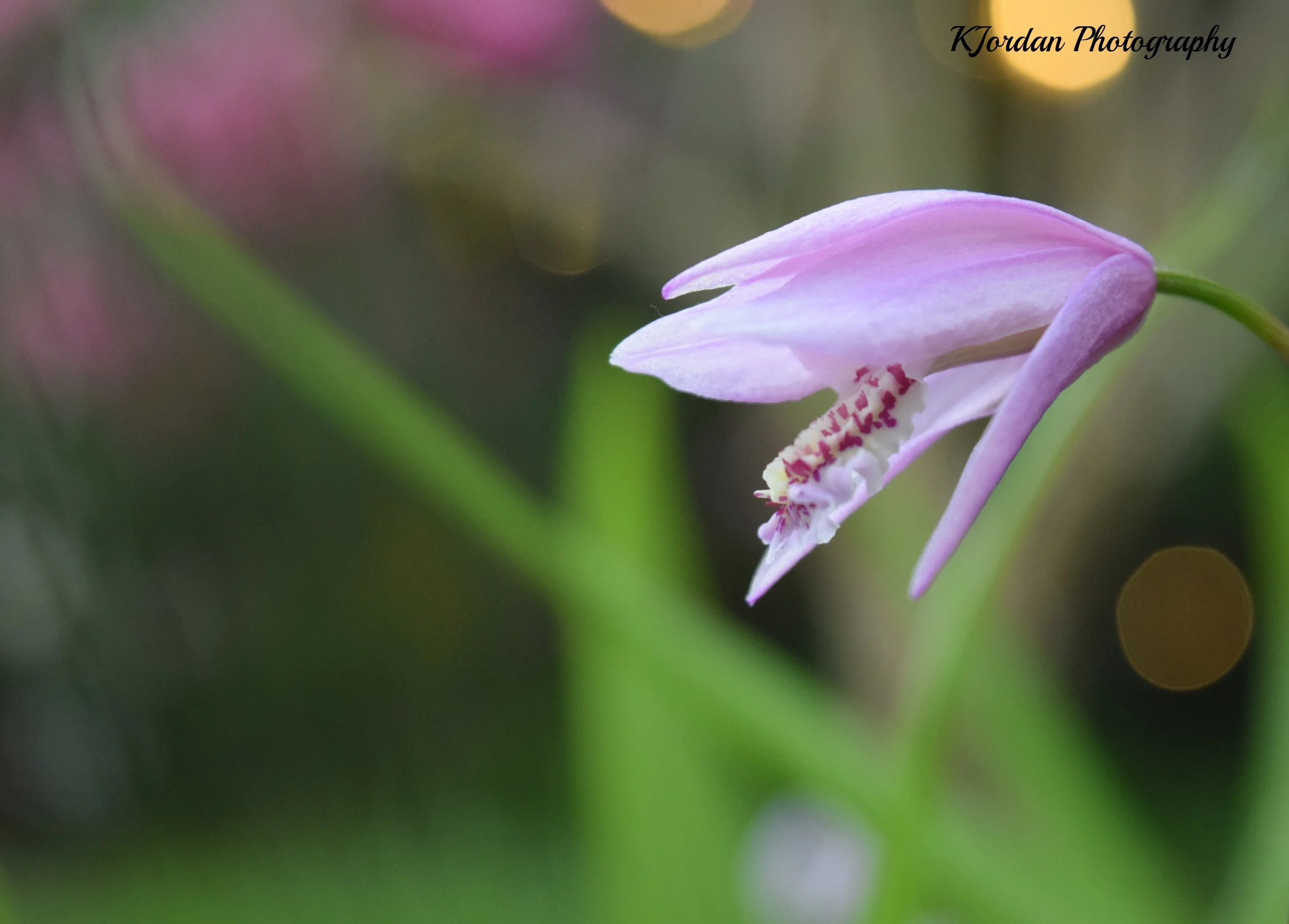 FullSizeRender (13).jpg