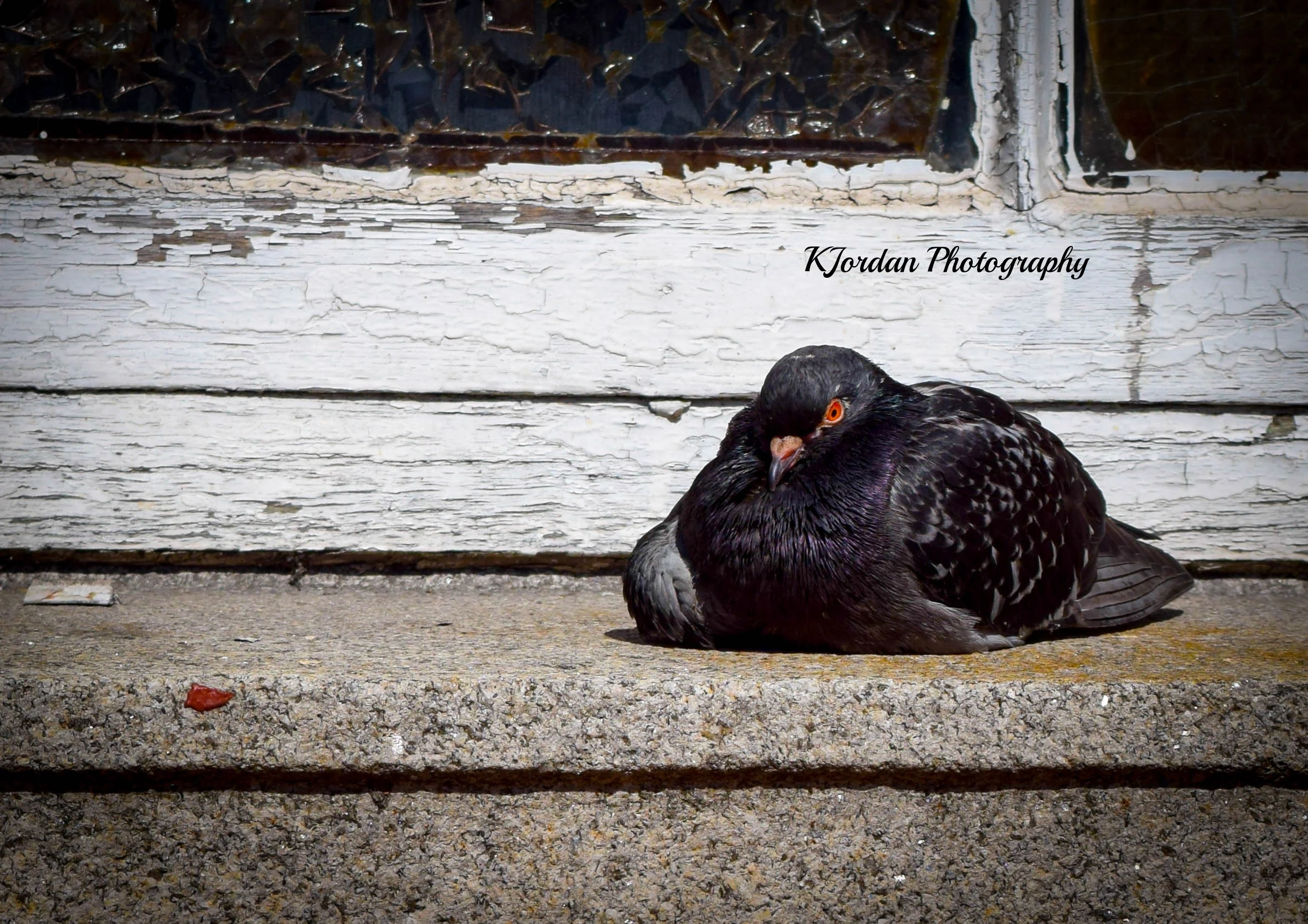 City Wise, Dublin, Ireland