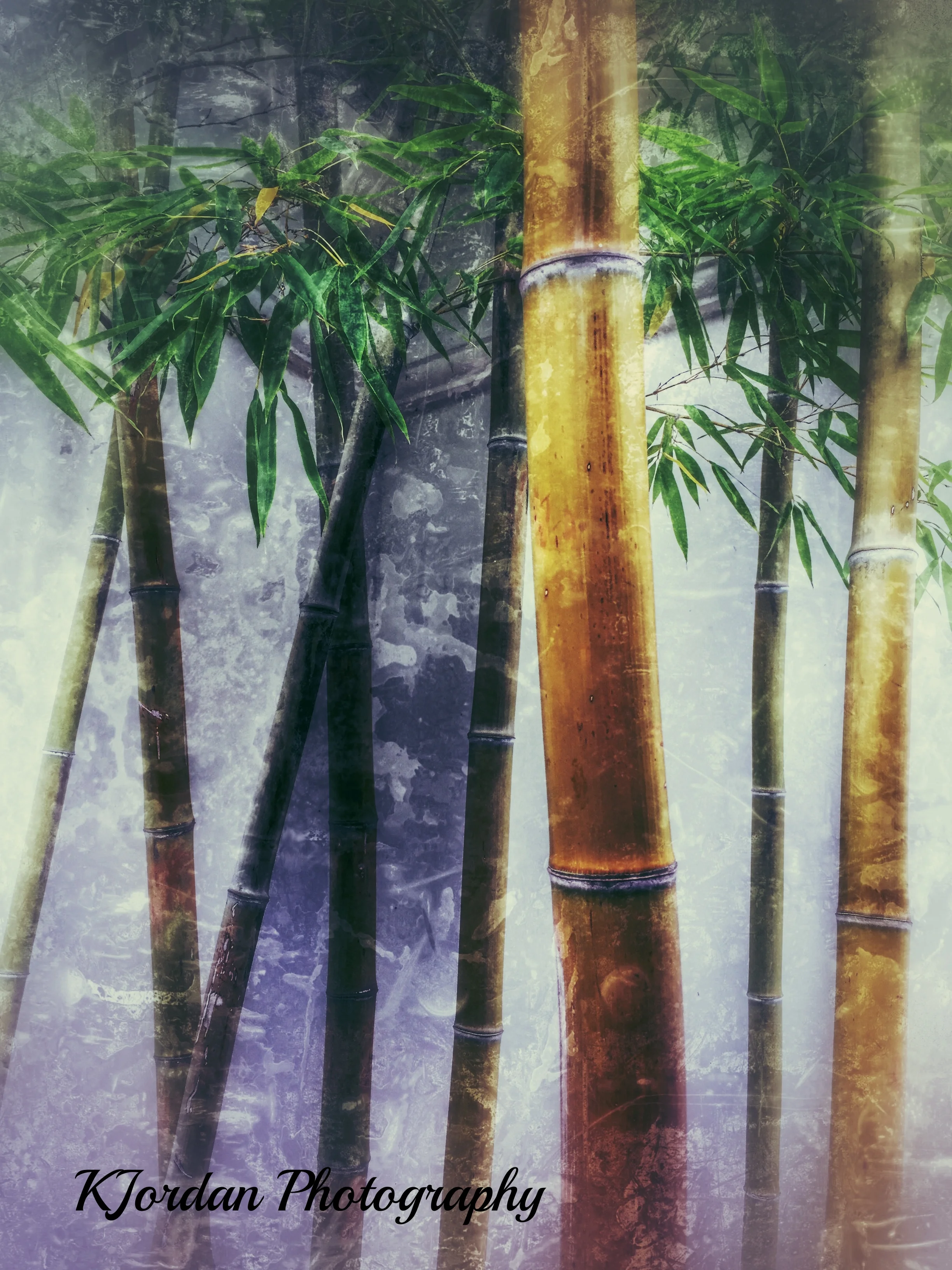Vintage Bamboo
