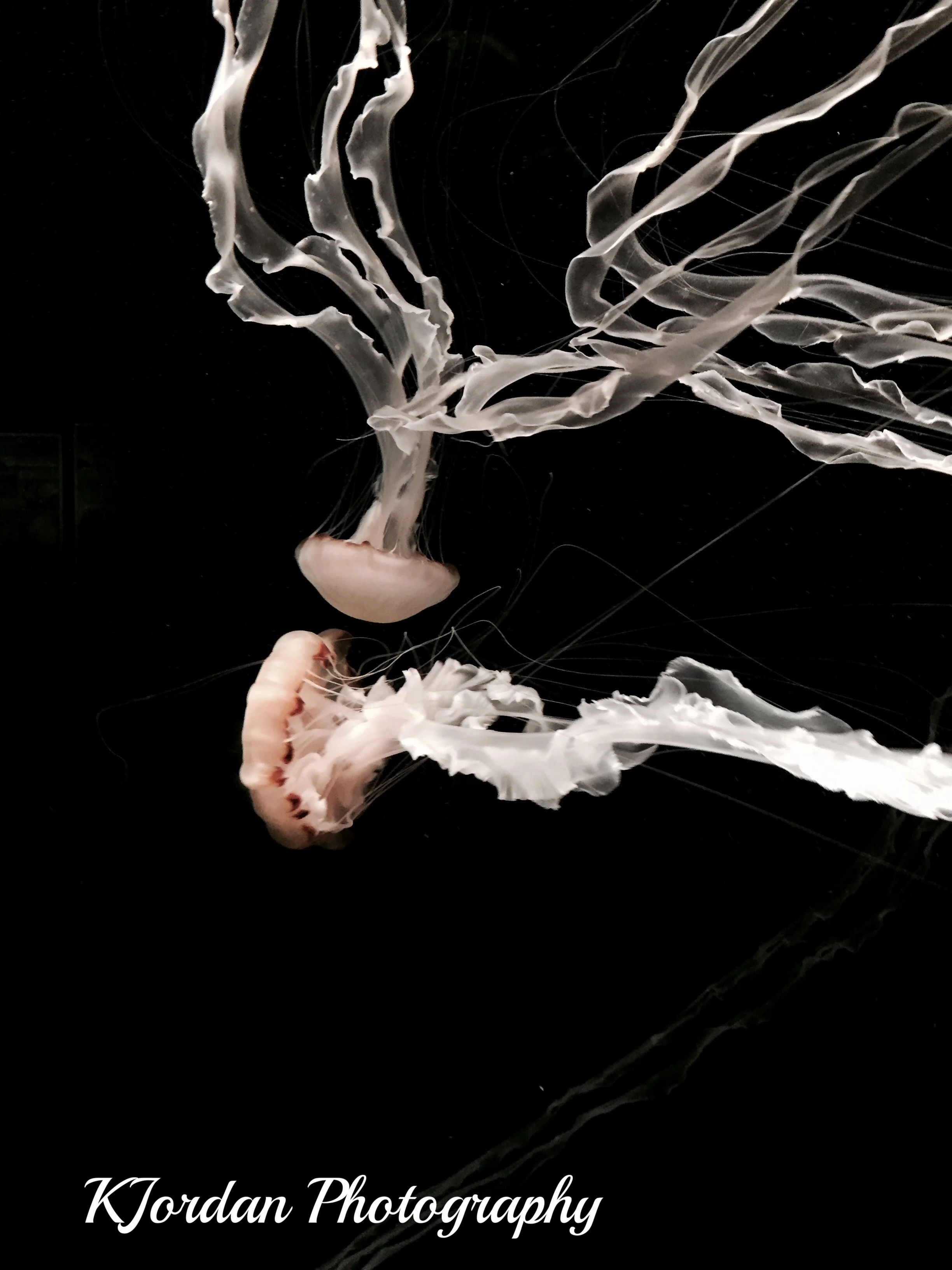 Monterey, California