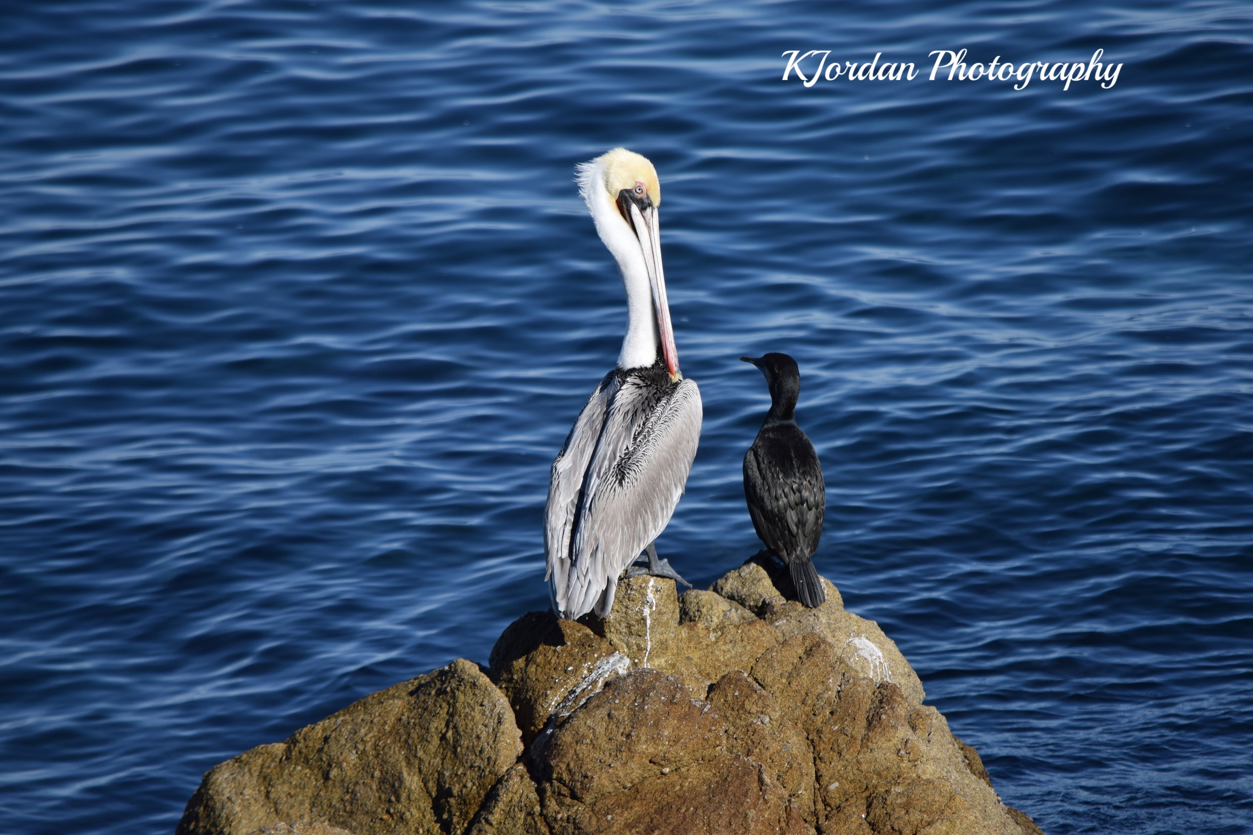 Monterey Bay, California