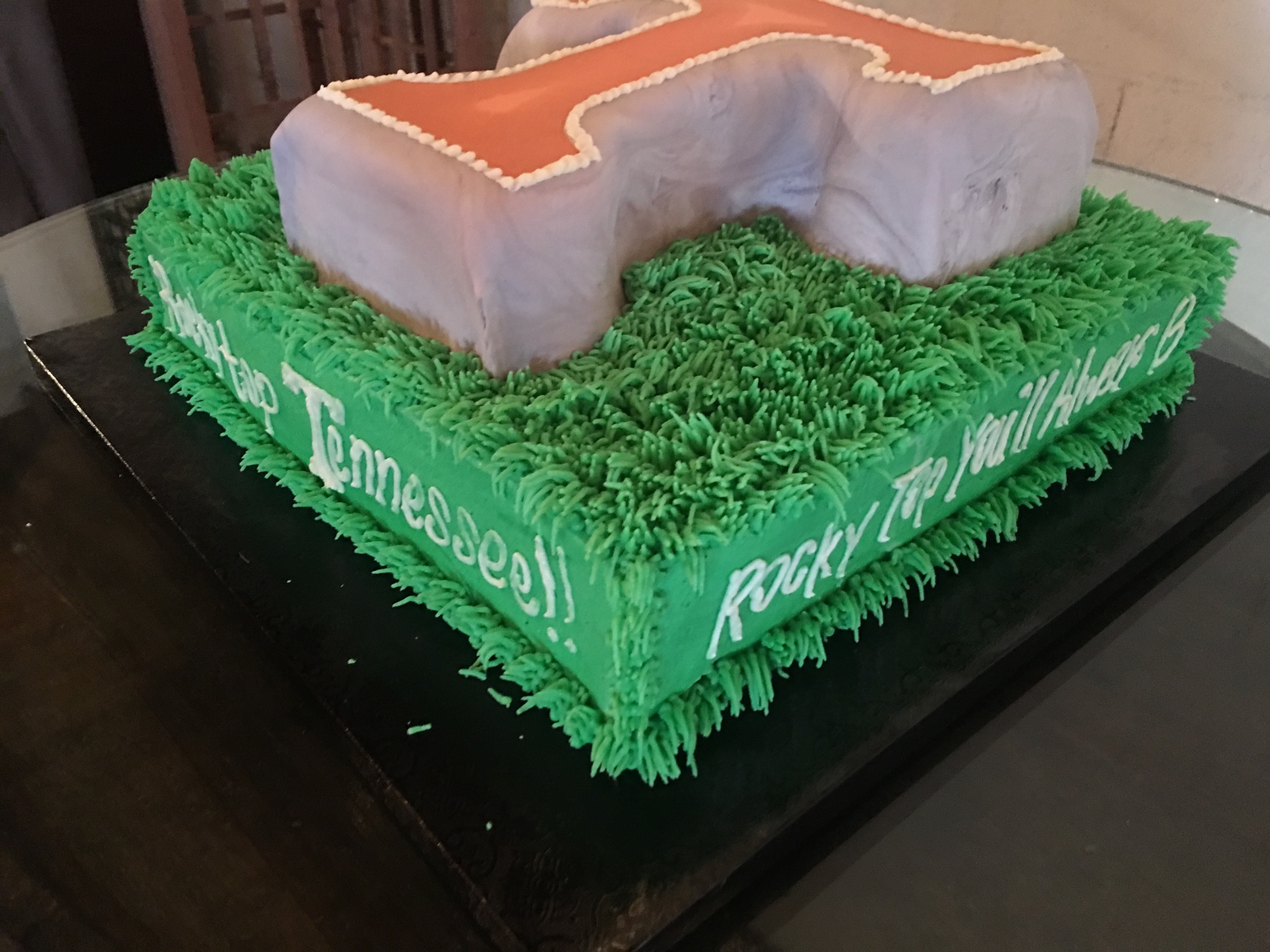 UT Groom's Cake