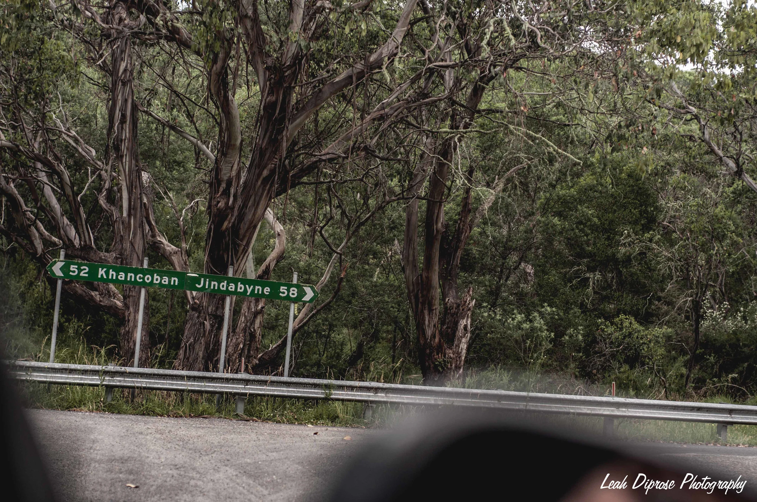 Leah Diprose Photography image-6130.jpg
