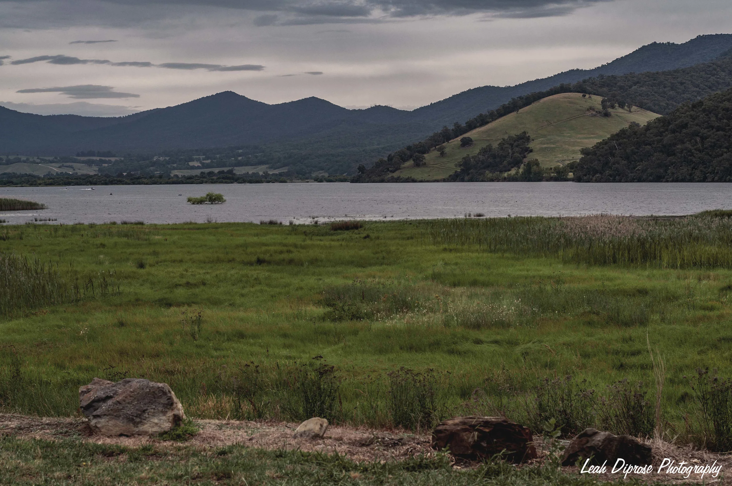 Leah Diprose Photography image-6138.jpg