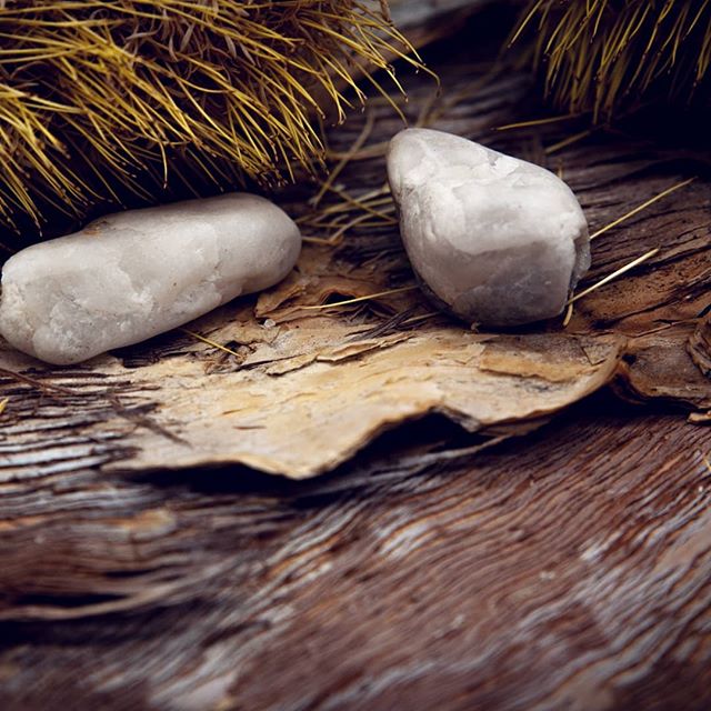 G A T H E R &gt;&gt; bits and piece gathered on my morning walk 🌾🍃🍂 #bondi #morningwalk #explore #create #australiana #paperbark #bondiphotographer